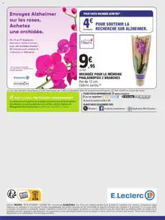  | Page: 40 | Produits: Plantes, Orchidée