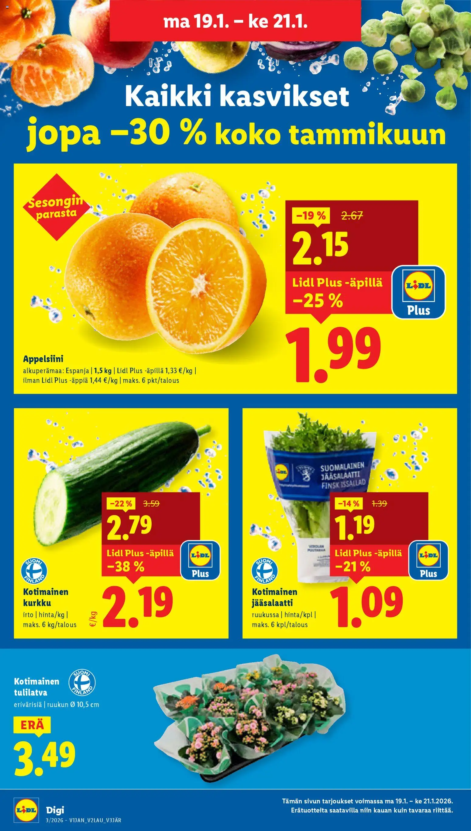 Lidl tarjoukset - Tampere – voimassa 15.01.2026 alkaen | Sivu: 20 | Tuotteet: Kurkku
