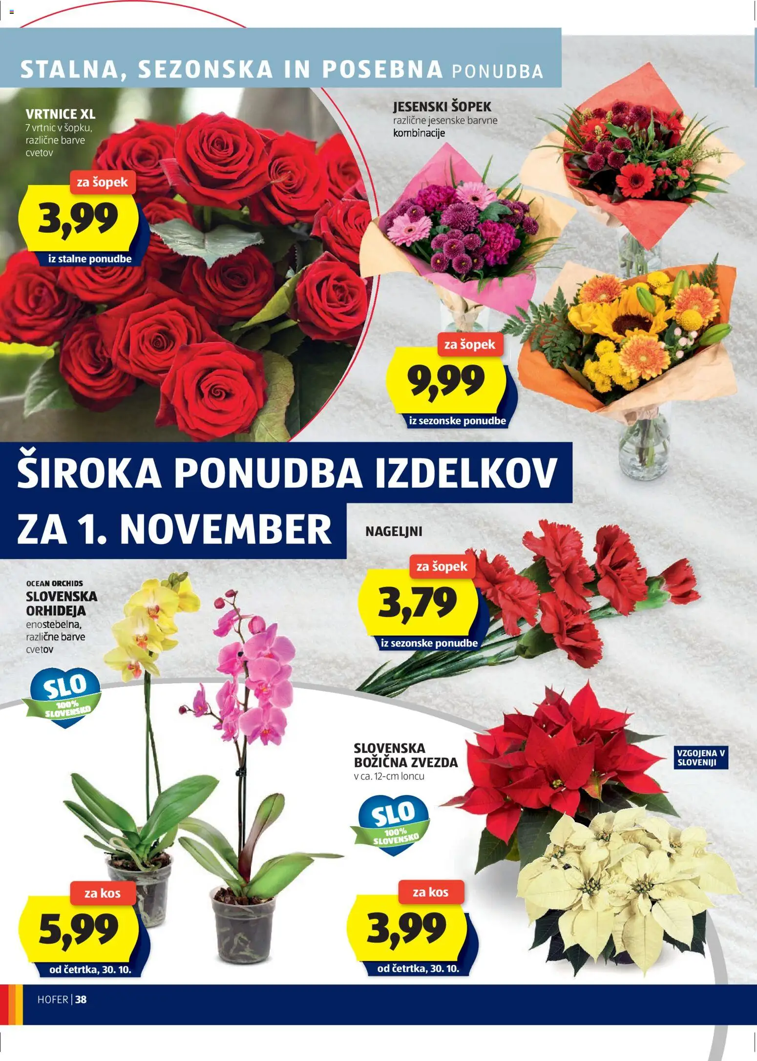 Novi Hofer katalog ponudbe – veljaven od 23.10.2025 | Stran: 38 | Izdelki: Šopek, Kos