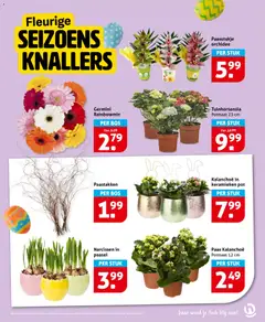 Hoogvliet folder - Voorbeeld van een folder van Hoogvliet, geldig van 25.03.2026 | Pagina: 15 | Producten: Pot