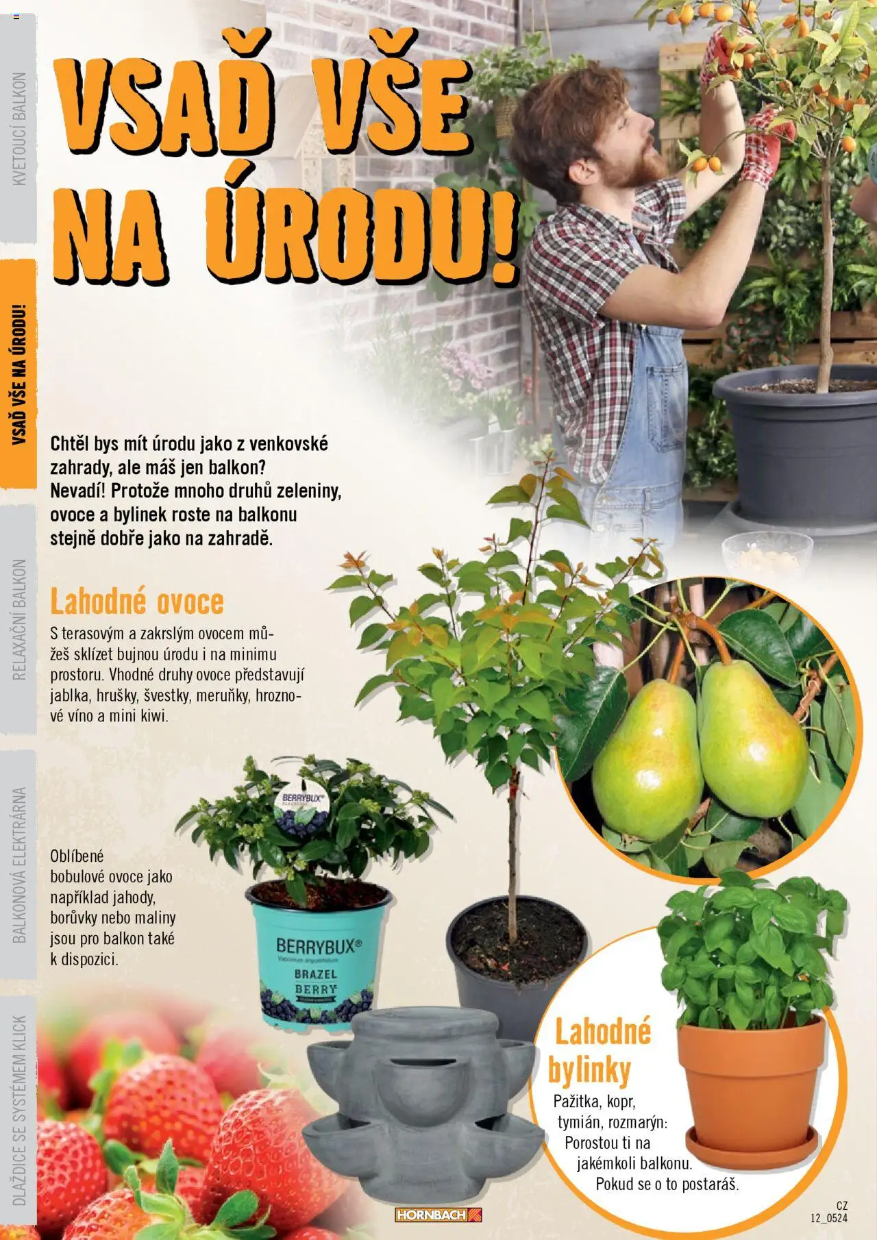 HORNBACH leták - Balkón od 13.08.2025 | Strana: 12 | Produkty: Ovoce, Víno, Borůvky, Maliny