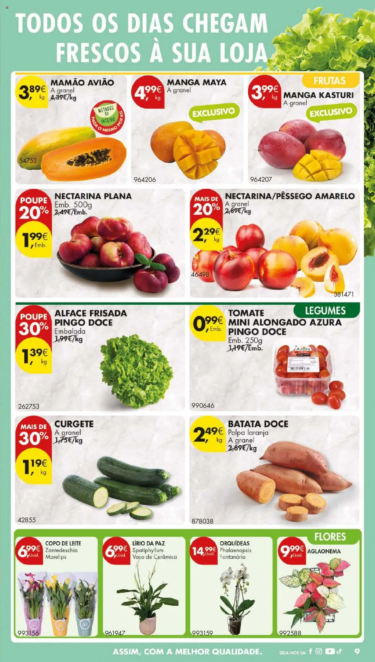 Pingo Doce folheto │ válido de 12.08.2025 | Página: 11 | Produtos: Batata, Flores, Vaso, Tomate