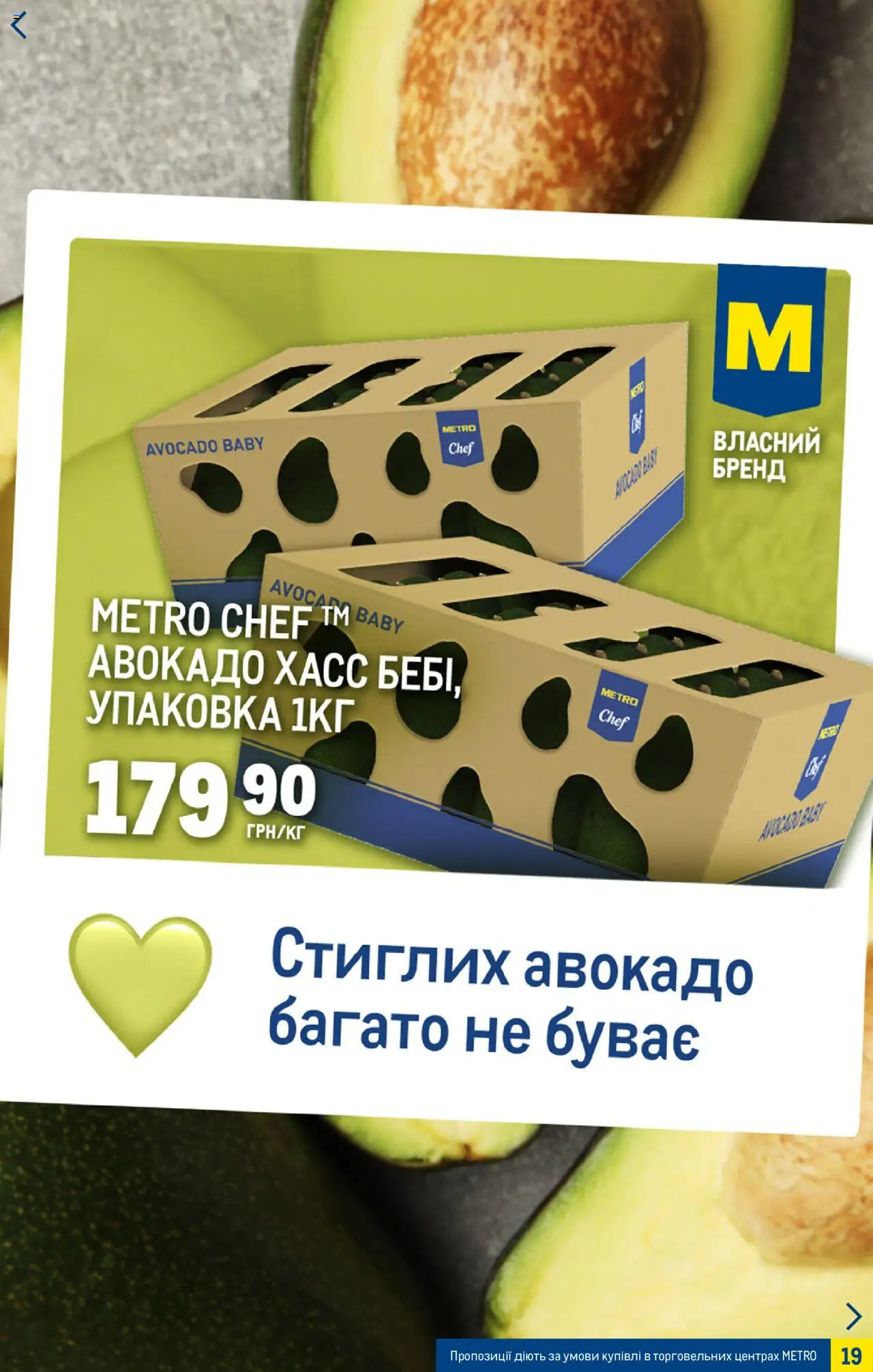 Metro Kаталог - дійснийкції з 06.08.2025 | Сторінка: 19 | Товари: Авокадо