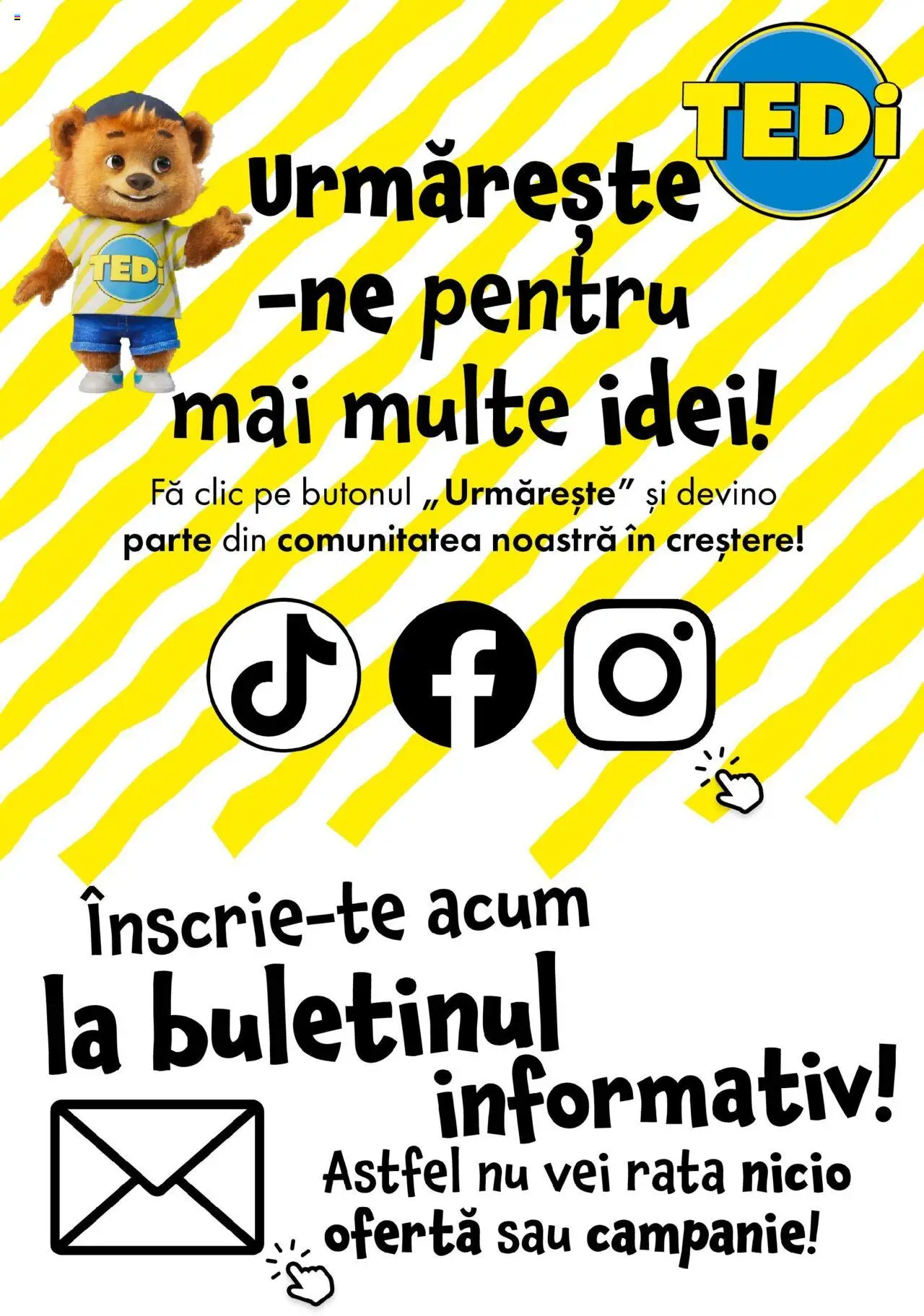 Catalog TEDi – valabil de la 08.08.2025 | Pagină: 11 | Produse: Rață