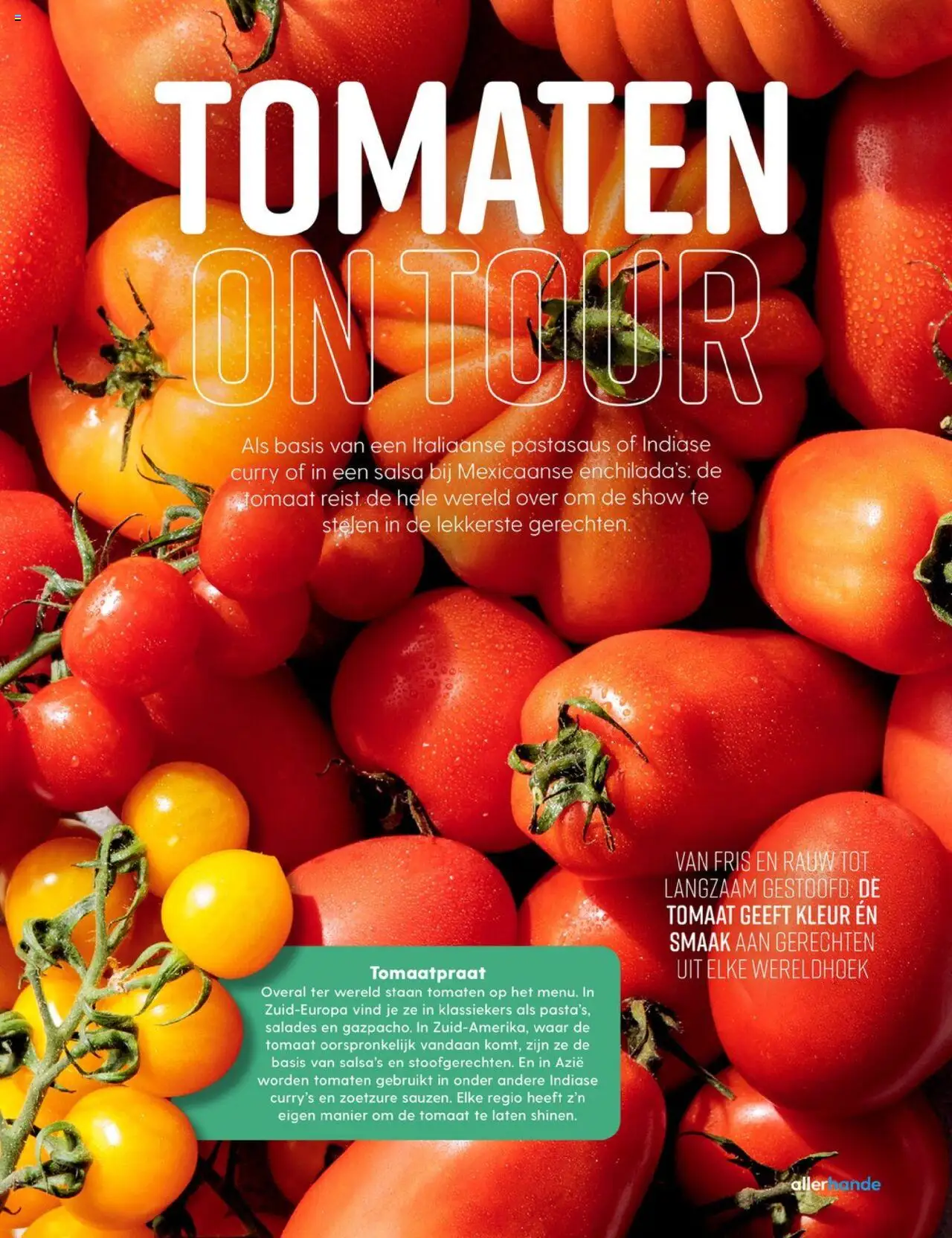 {H1} | Pagina: 77 | Producten: Tomaat, Overal, Tomaten, Salades