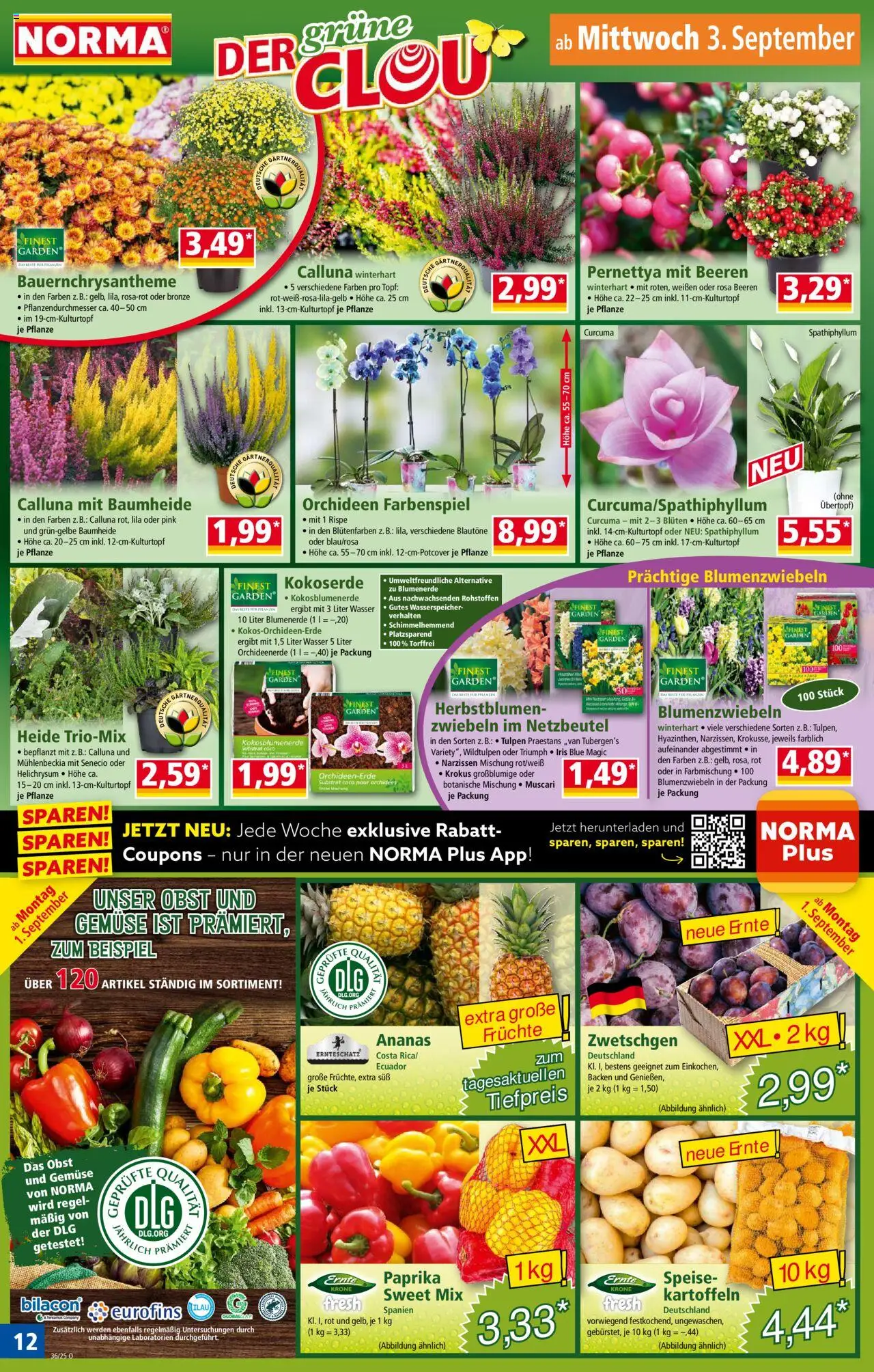 Norma Prospekt 	 - gültig ab dem 01.09.2025 | Seite: 12 | Produkte: Kartoffeln, Gemüse, Paprika, Obst