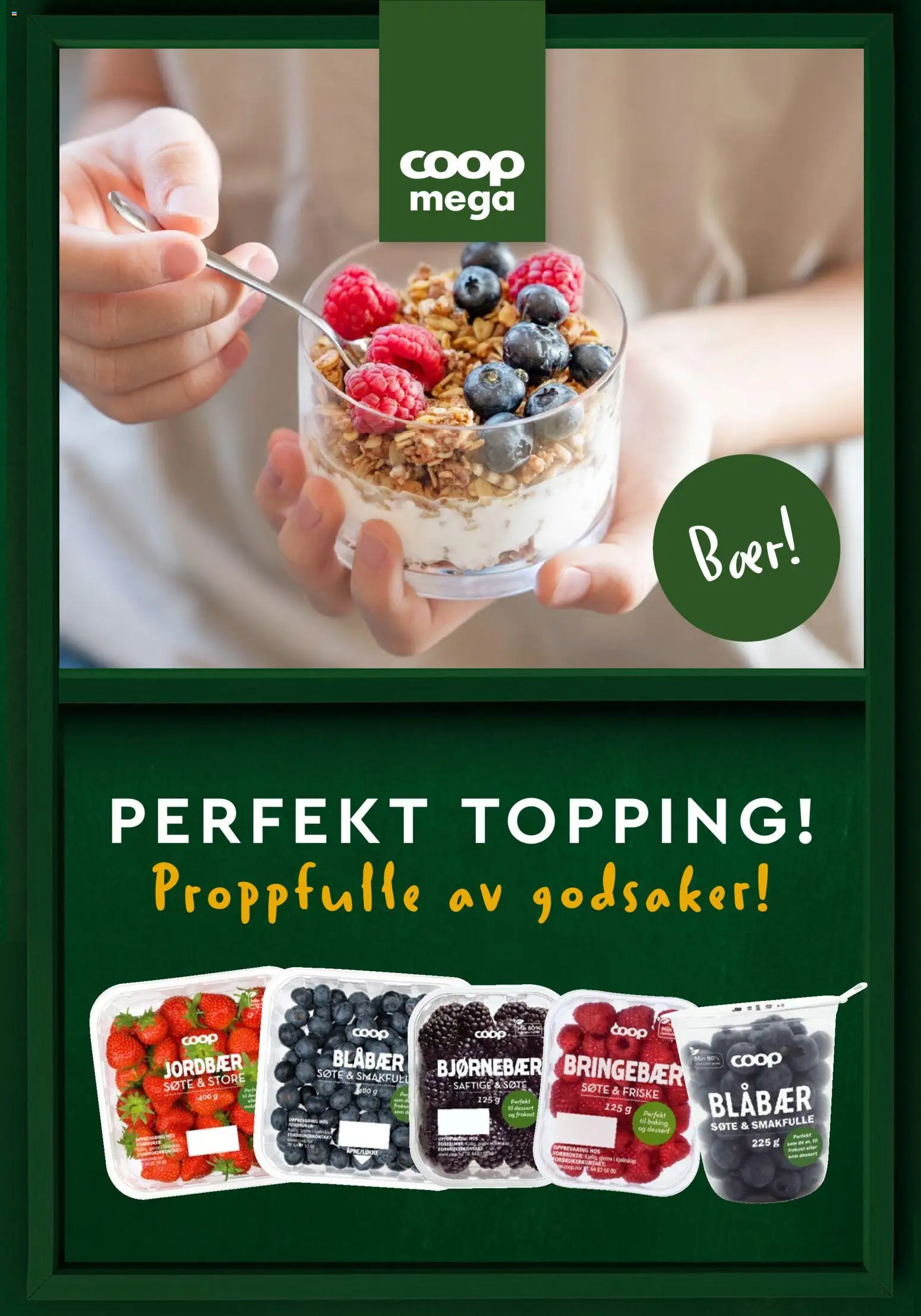 {H1} | Side: 17 | Produkter: Bringebær, Blåbær, Bjørnebær, Tape