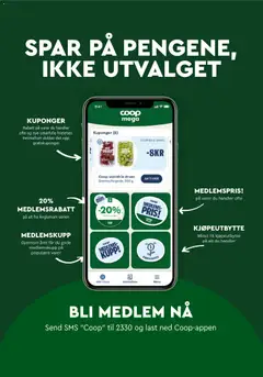 Forhåndsvisning av Coop Mega kundeavis gyldig fra 16.03.2026 | Side: 13 | Produkter: Druer