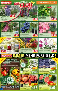 Norma Flugblatt gültig ab 21.07.2025 | Seite: 12