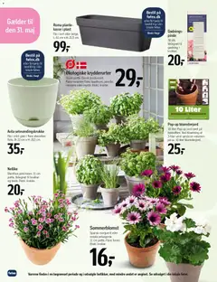 Føtex - Udendørs liv gyldig fra 13.03.2026 | Side: 20