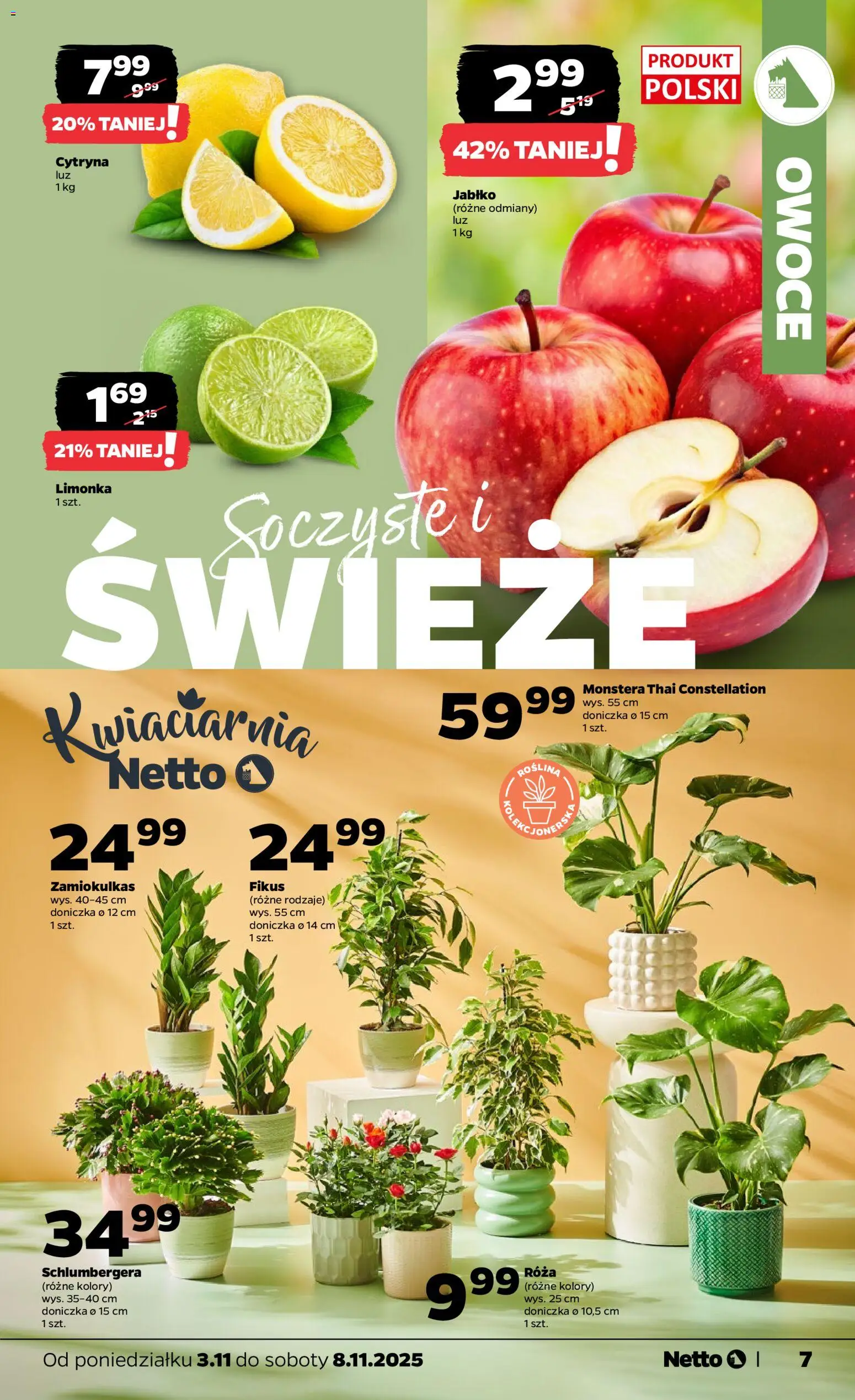 Netto gazetka - Spożywcza od 02.11.2025 | Strona: 7 | Produkty: Limonka, Zamiokulkas, Owoce, Fikus