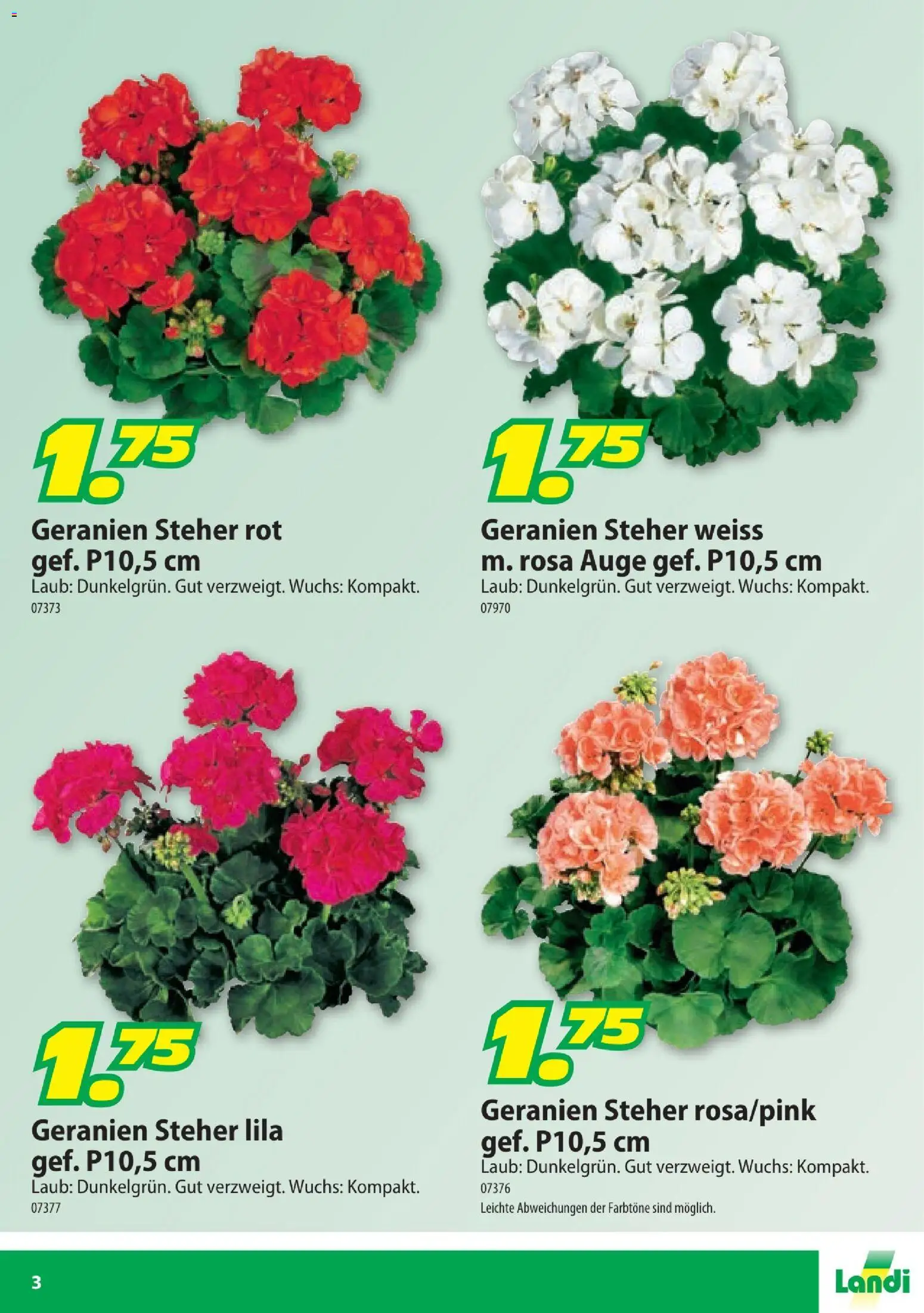 Landi aktionen Geranien – gültig ab 10.04.2026 | Seite: 3