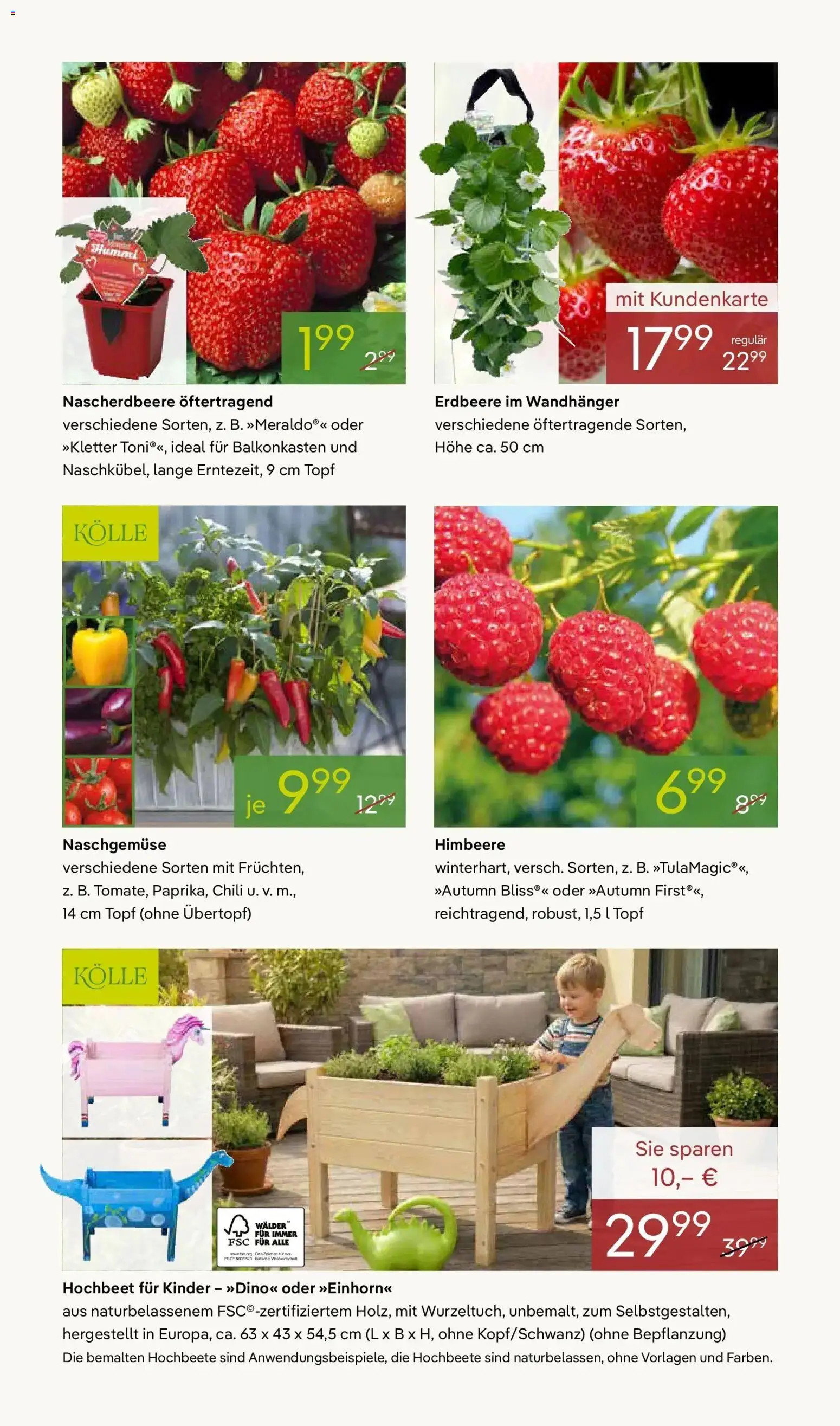 Pflanzen-Kölle - Pflanzen-Kölle: Blühende Osterzeit – gültig ab 30.03.2026 | Seite: 7 | Produkte: Hochbeet, Chili, Himbeere
