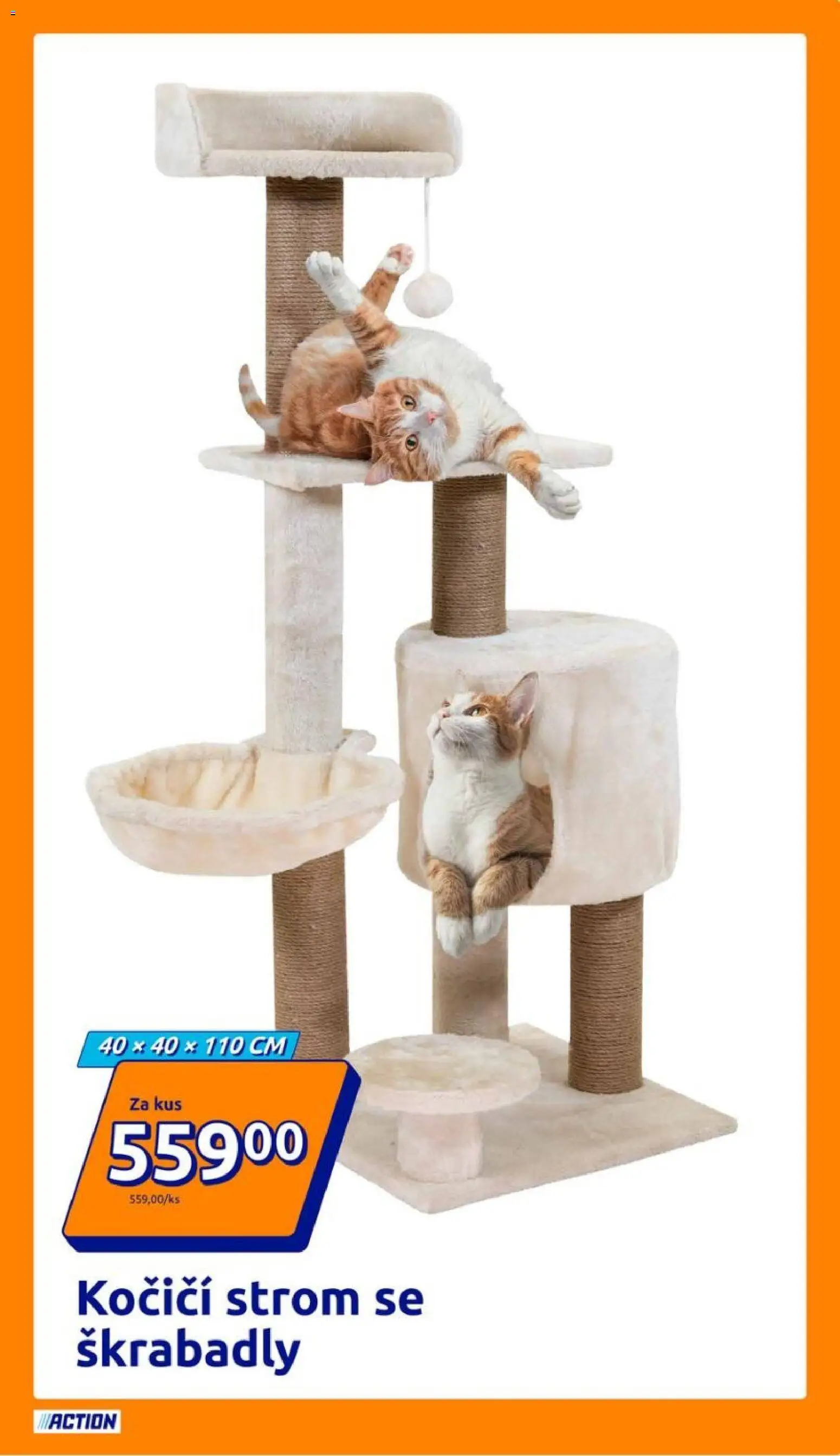 Action leták od 12.11.2025 | Strana: 13