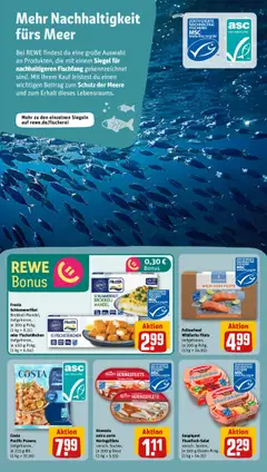 Rewe Prospekt 	 - gültig ab dem 18.08.2025 | Seite: 14 | Produkte: Thunfisch, Frosta, Fischstabchen, Erbsen