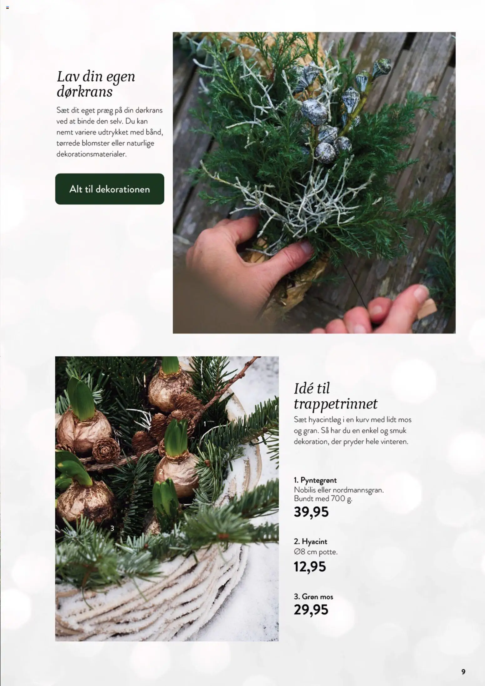 Plantorama tilbudsavis – gyldig fra 23.11.2025 | Side: 10 | Produkter: Kurv