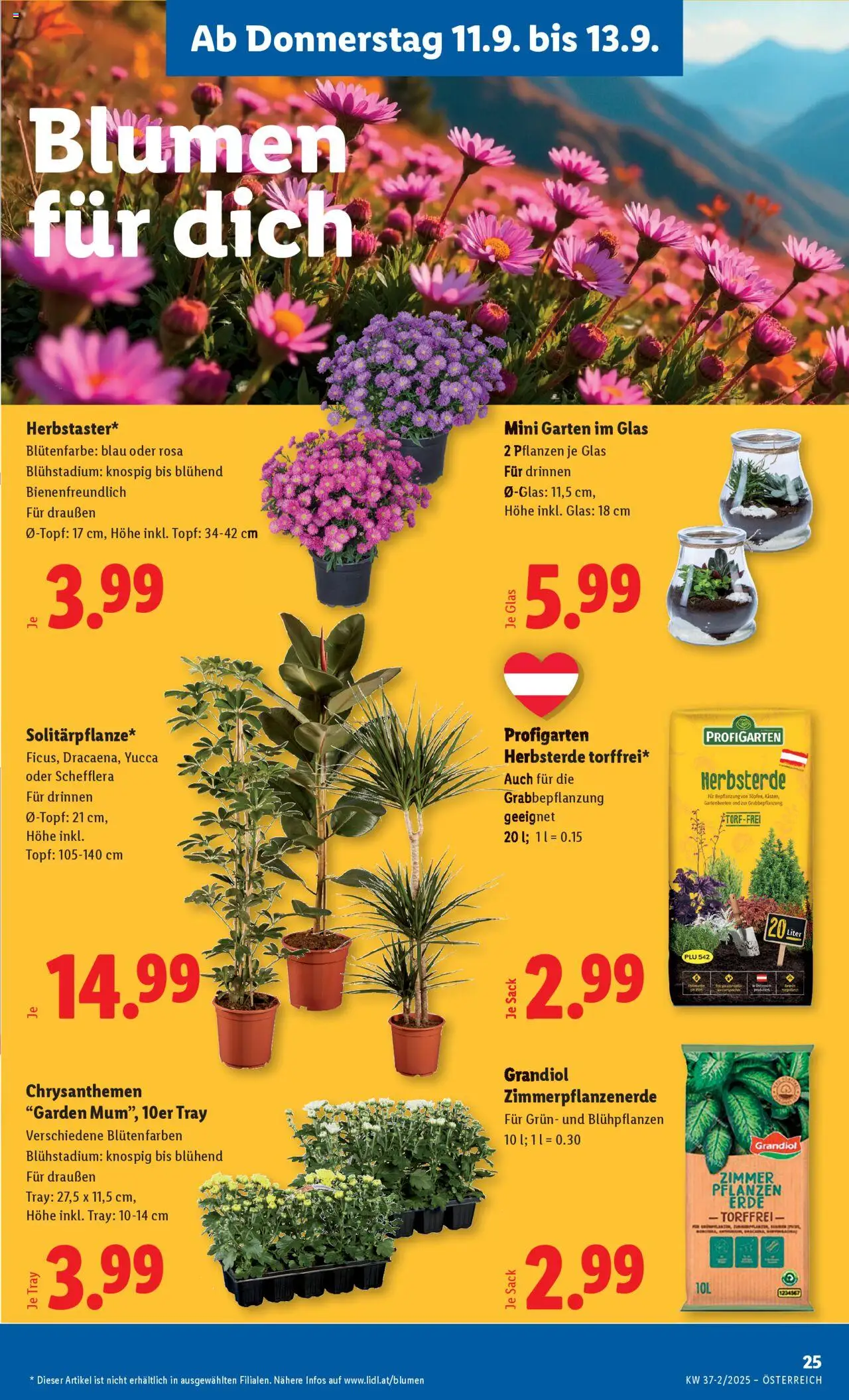 Lidl Flugblatt - Oberpullendorf, Güssing, Oberwart gültig ab 11.09.2025 | Seite: 27