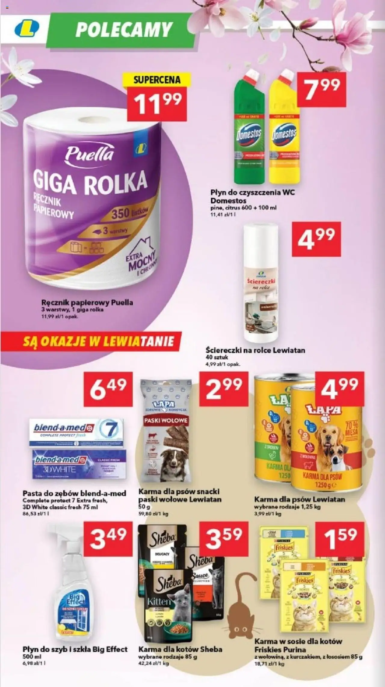 Lewiatan gazetka - Gdańsk od 23.10.2025 | Strona: 14 | Produkty: Karma dla kotów, Pasta do zębów, Karma dla psów, Ręcznik papierowy