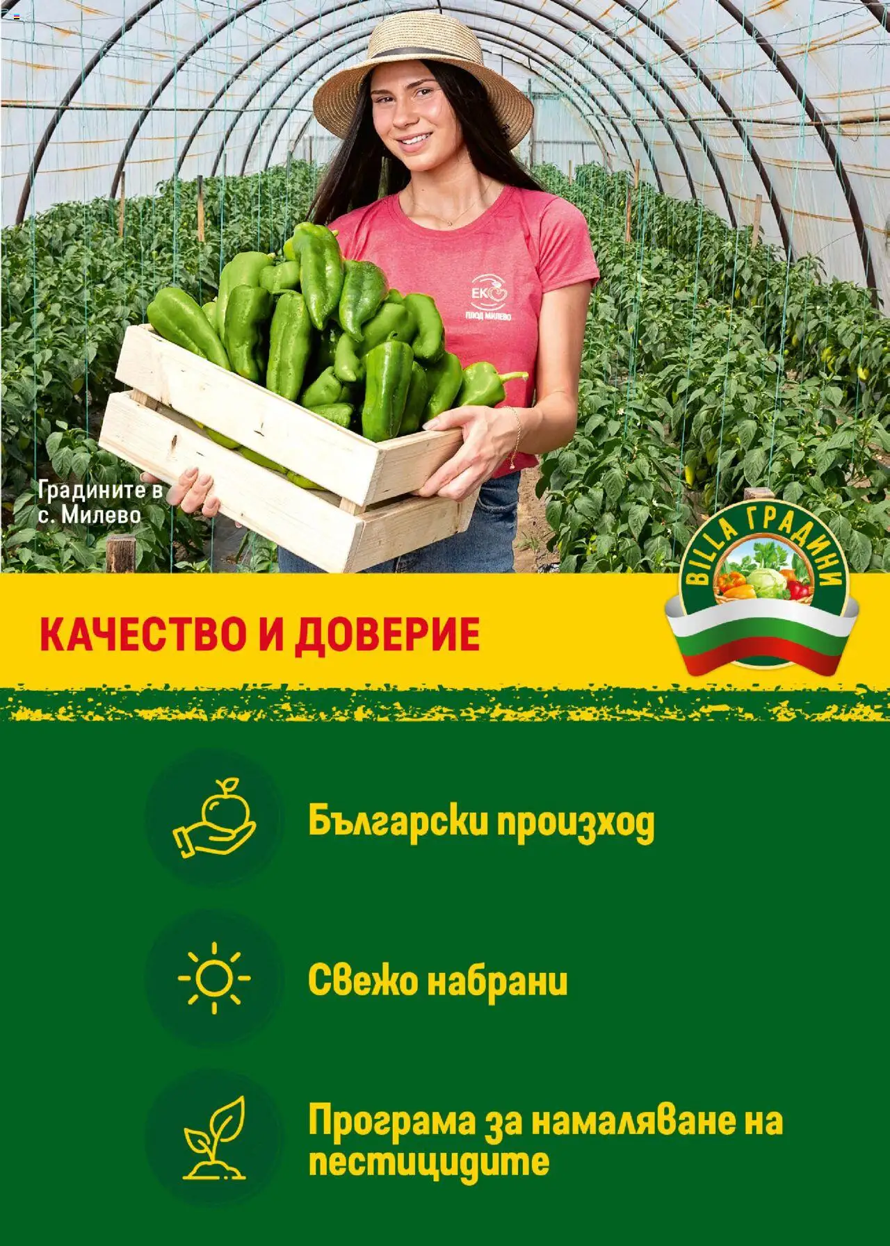  | Страница: 9 | Продукти: Зеленчуци