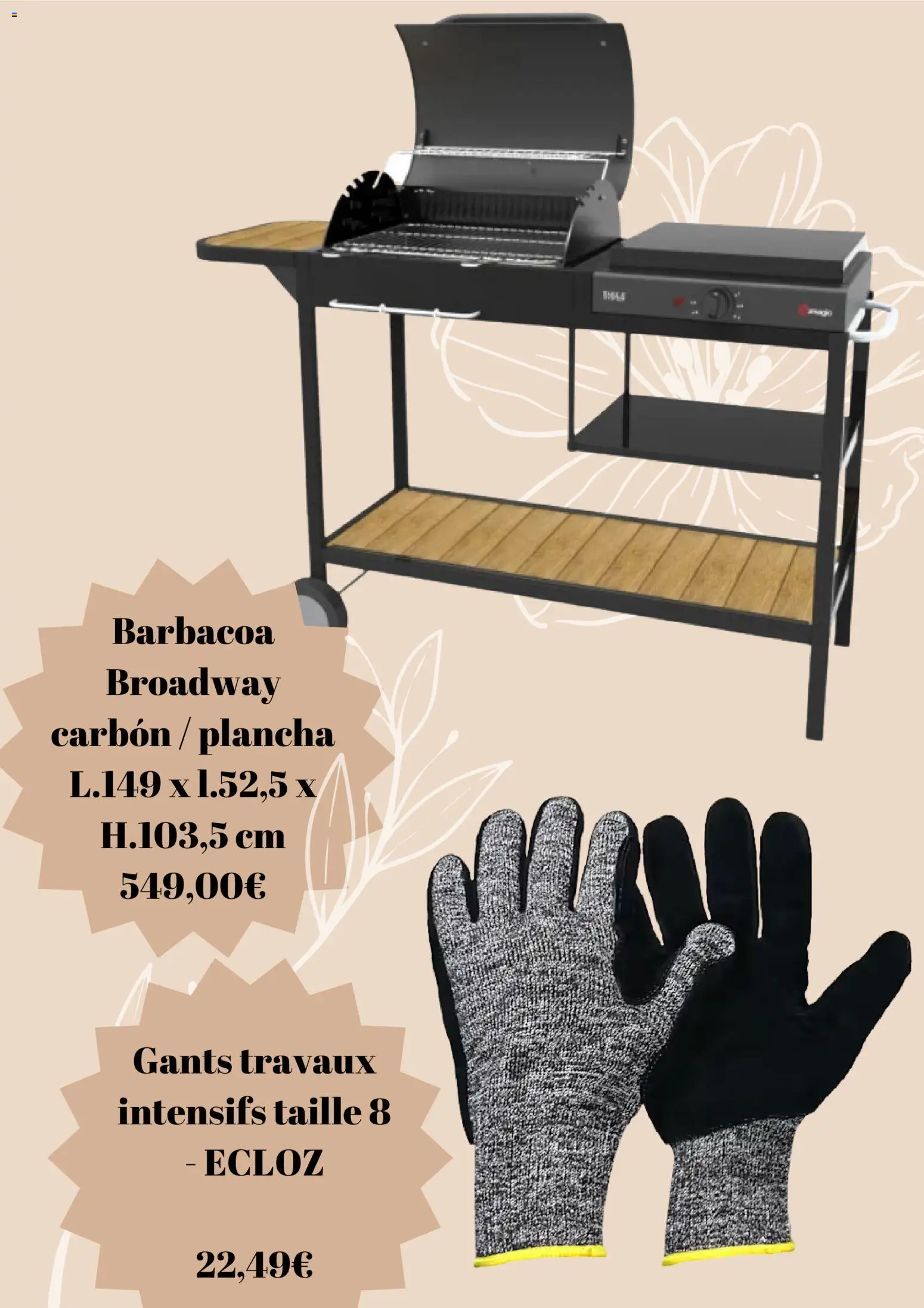 Jardiland Black Friday │ válido desde el 28.11.2025 | Página: 5 | Productos: Barbacoa, Plancha