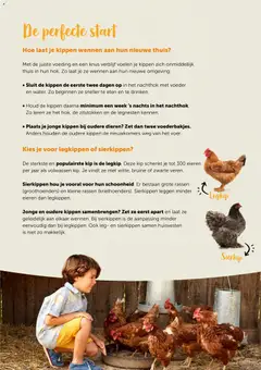 Aveve Gids starten met kippen - Voorbeeld van een folder van Aveve, geldig van 23.02.2026 | Pagina: 3