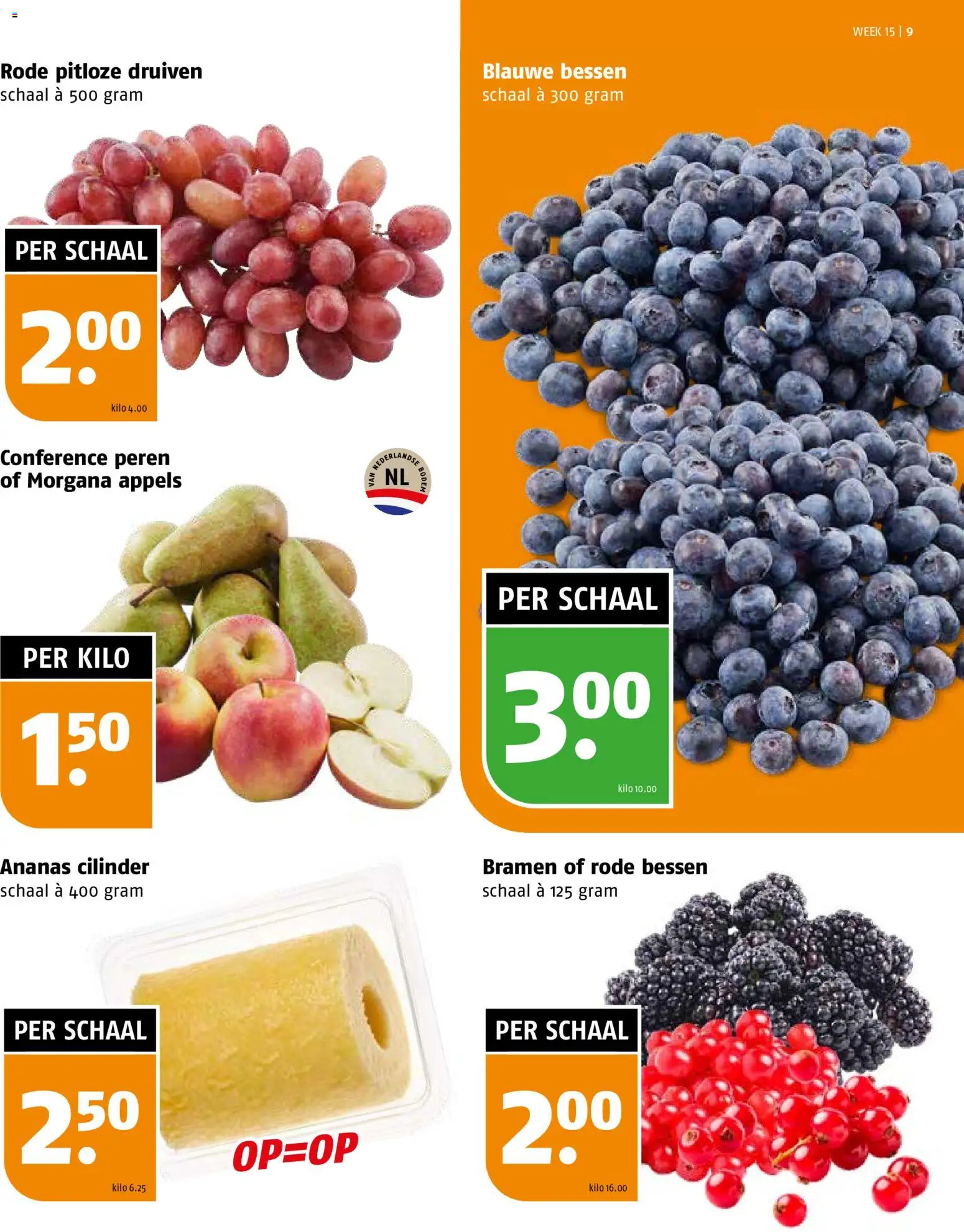 {H1} | Pagina: 9 | Producten: Appels, Ananas, Schaal, Druiven