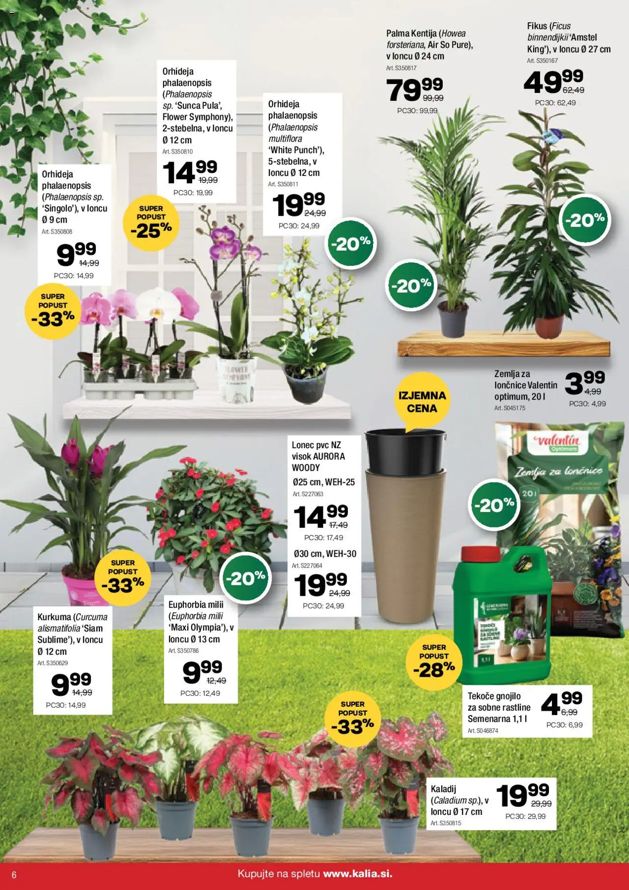 Kalia katalog │ velja od 18.08.2025 | Stran: 6 | Izdelki: Žemlja, Lončnice