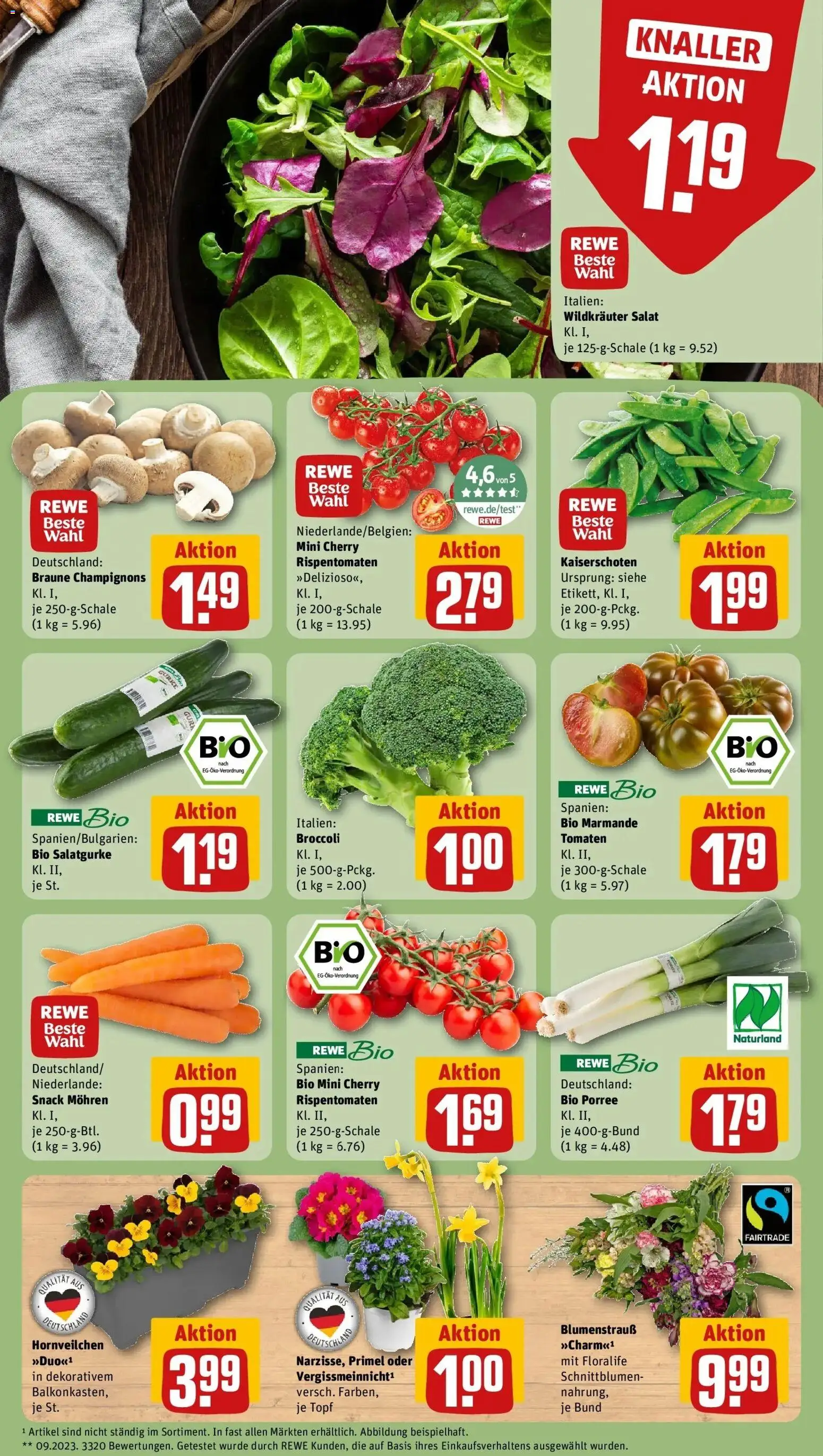 Rewe Prospekt Aurich	 – gültig ab 09.03.2026 | Seite: 7 | Produkte: Tomaten, Mohren, Champignons, Salat