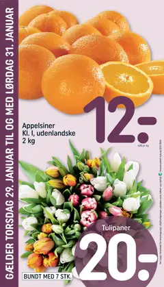 Appelsiner, Kl. I, udenlandske 2 kg gyldig fra 25.01.2026 | Side: 28