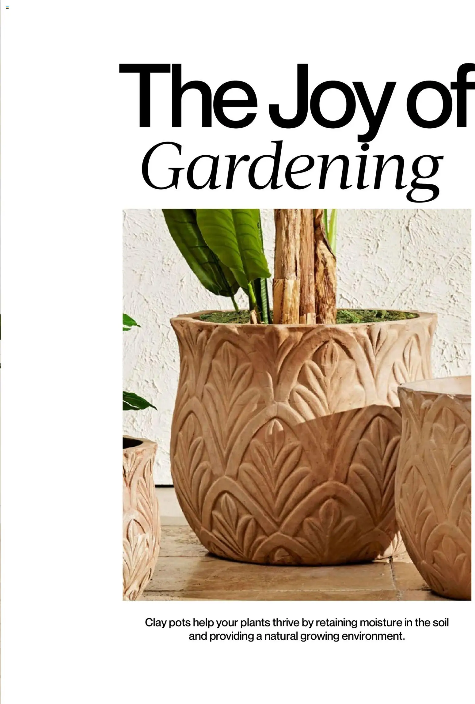 Mudo - Katalog Bahçe 2026  - 01.01.2026 tarihinden itibaren geçerlidir | Sayfa: 105