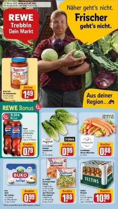 Rewe prospekt Trebbin	 gültig ab dem 13.07.2025