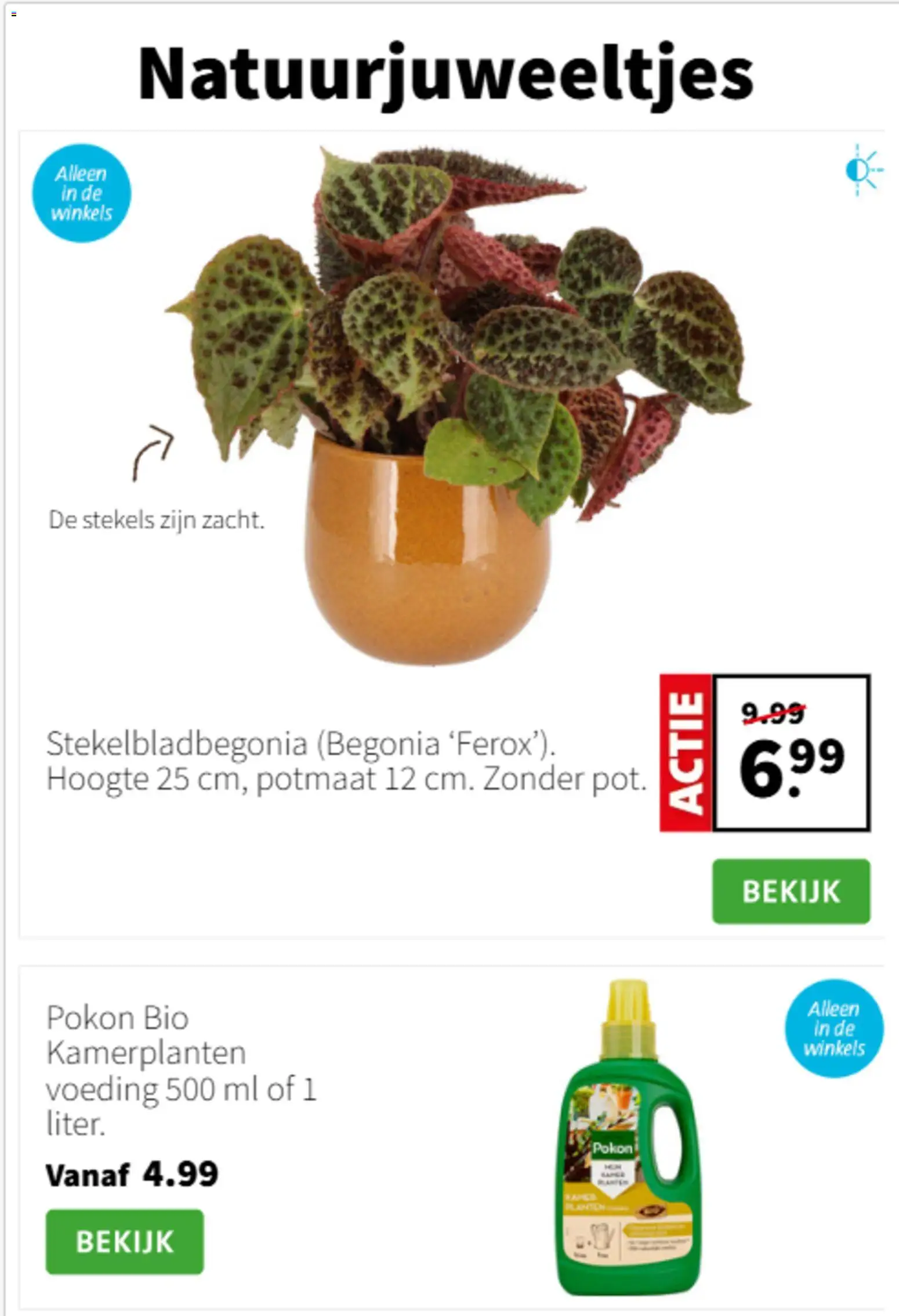 {H1} | Pagina: 2 | Producten: Kamerplanten