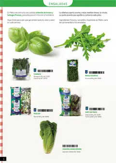 Vista previa CORAZÓN LECHUGA ROMANA, Bolsa de 2 unidades. Ref.: 261911 válido desde el 01.05.2025 | Página: 6 | Productos: Κρεμάστρα, Μαξιλάρι λαιμού, Bandeja, Caja