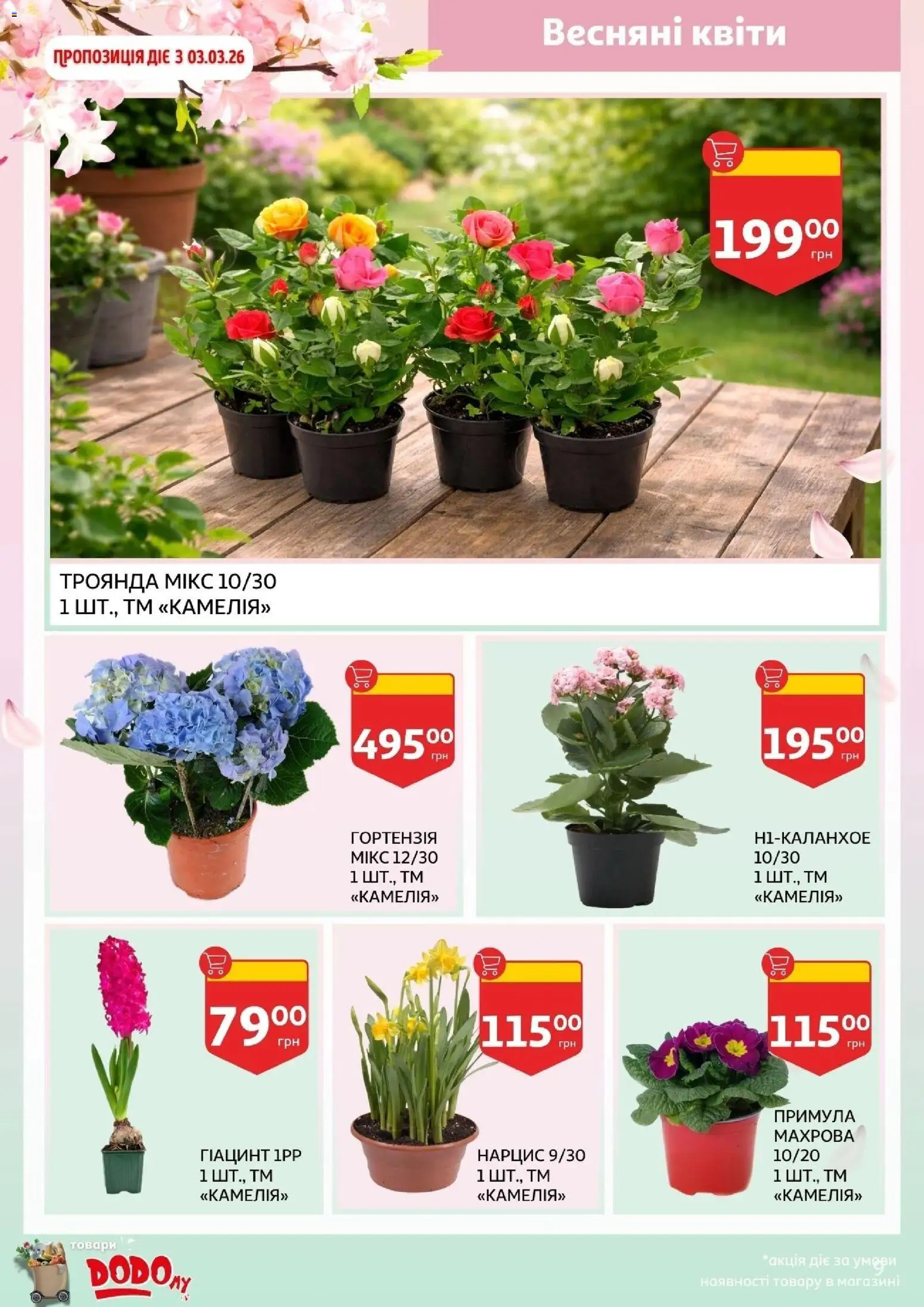 Ашан Kаталог - дійснийкції з 19.02.2026 | Сторінка: 9