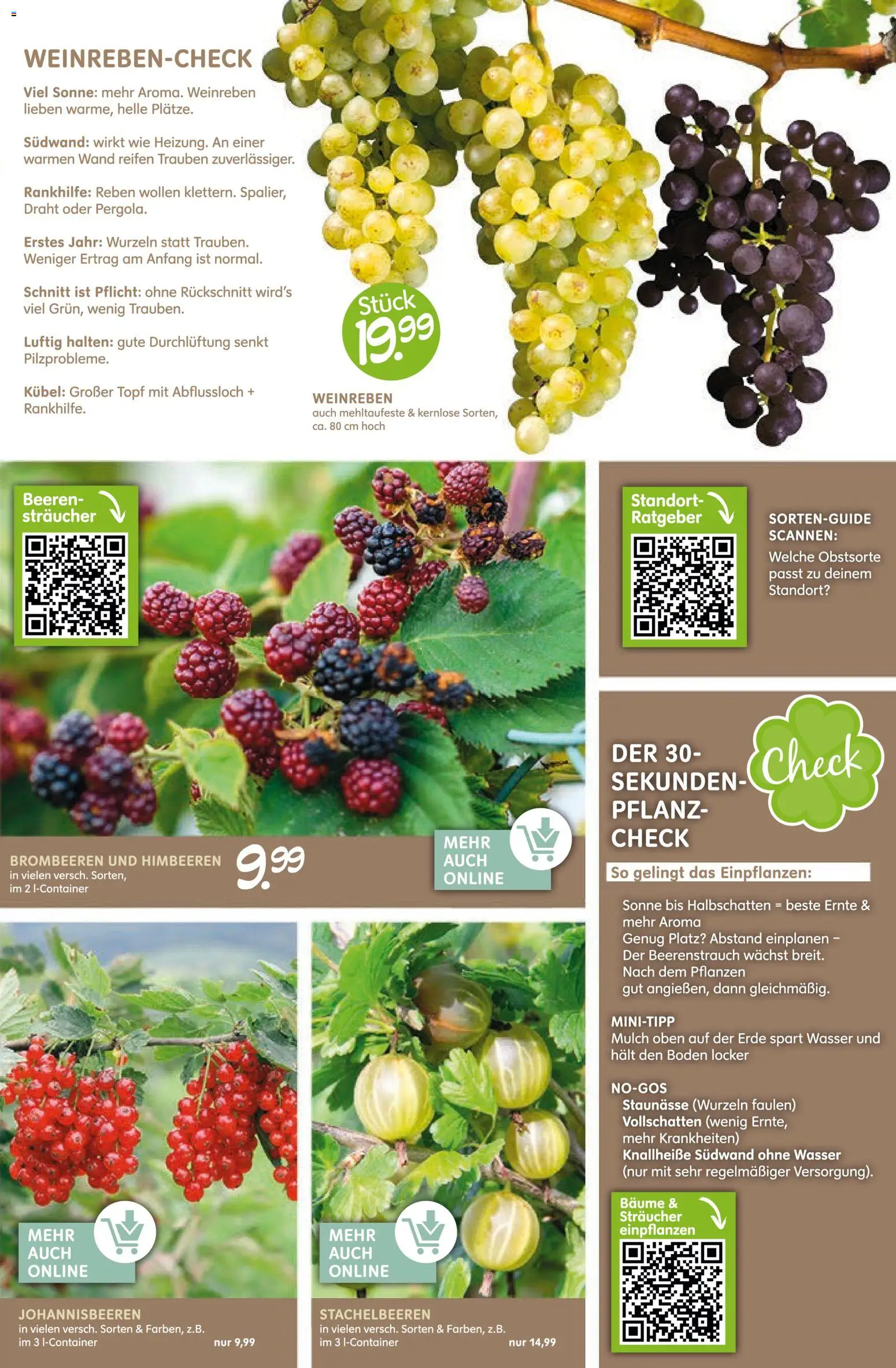 Blumen Risse Prospekt 	 – gültig ab 12.03.2026 | Seite: 7 | Produkte: Himbeeren, Trauben, Wasser