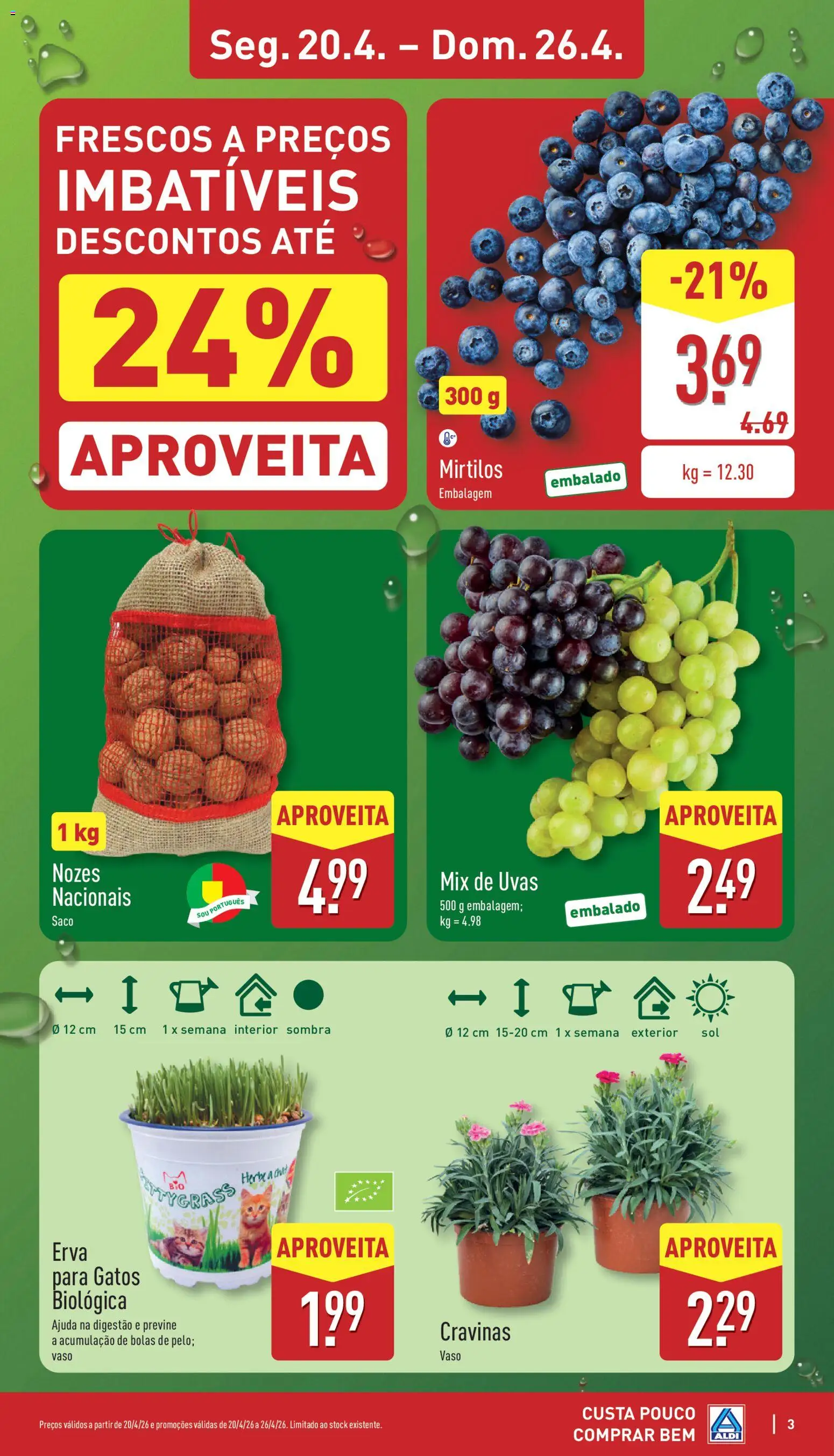 Aldi folheto │ válido de 20.04.2026 | Página: 3 | Produtos: Vaso, Nozes, Mirtilos, Uvas