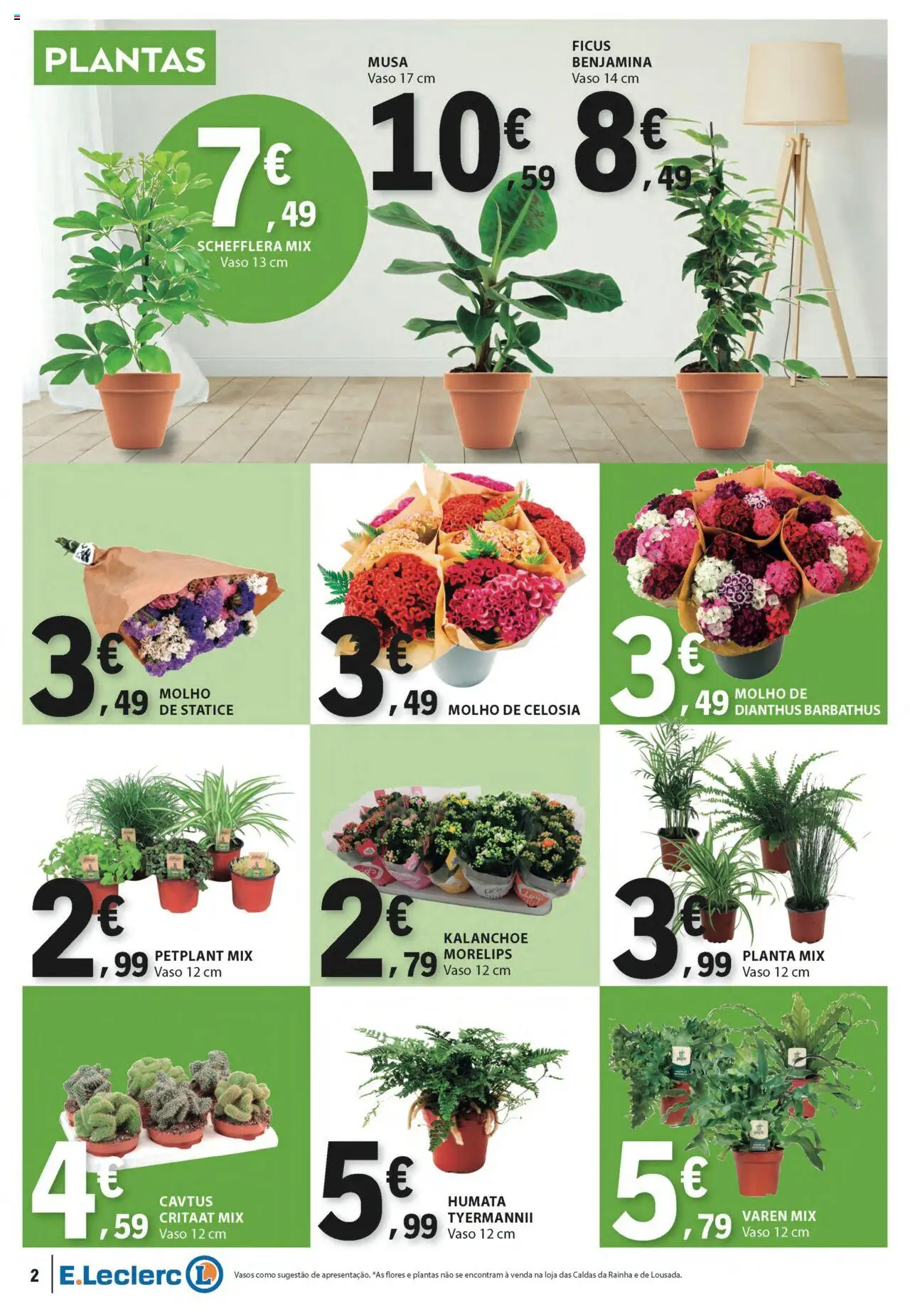 E.Leclerc - Folheto Não Alimentar │ válido de 14.08.2025 | Página: 2 | Produtos: Flores, Vaso