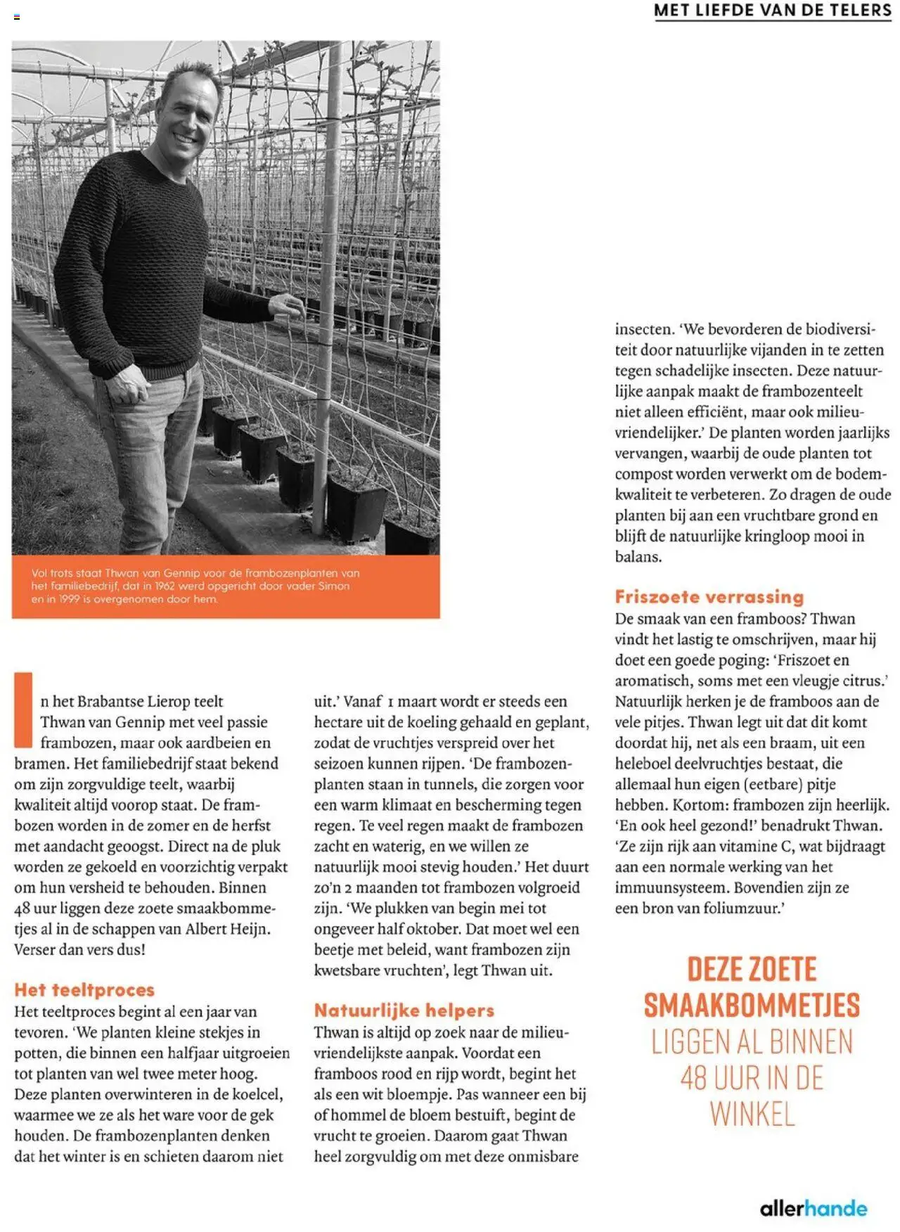  | Pagina: 63 | Producten: Aardbeien, Olasz felvágott, Frambozen