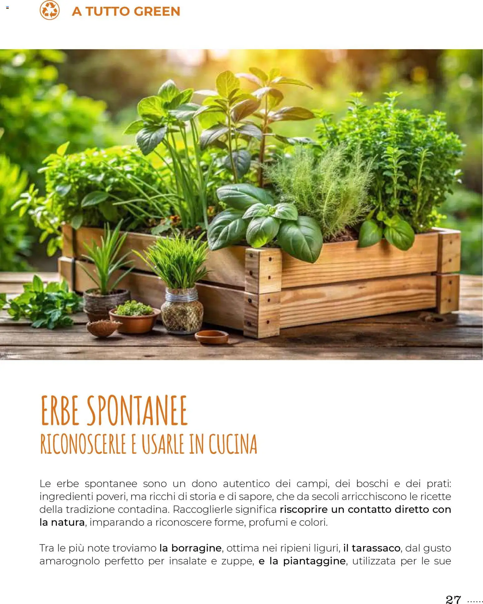 Volantino Gulliver del 31.10.2025 | Pagina: 27