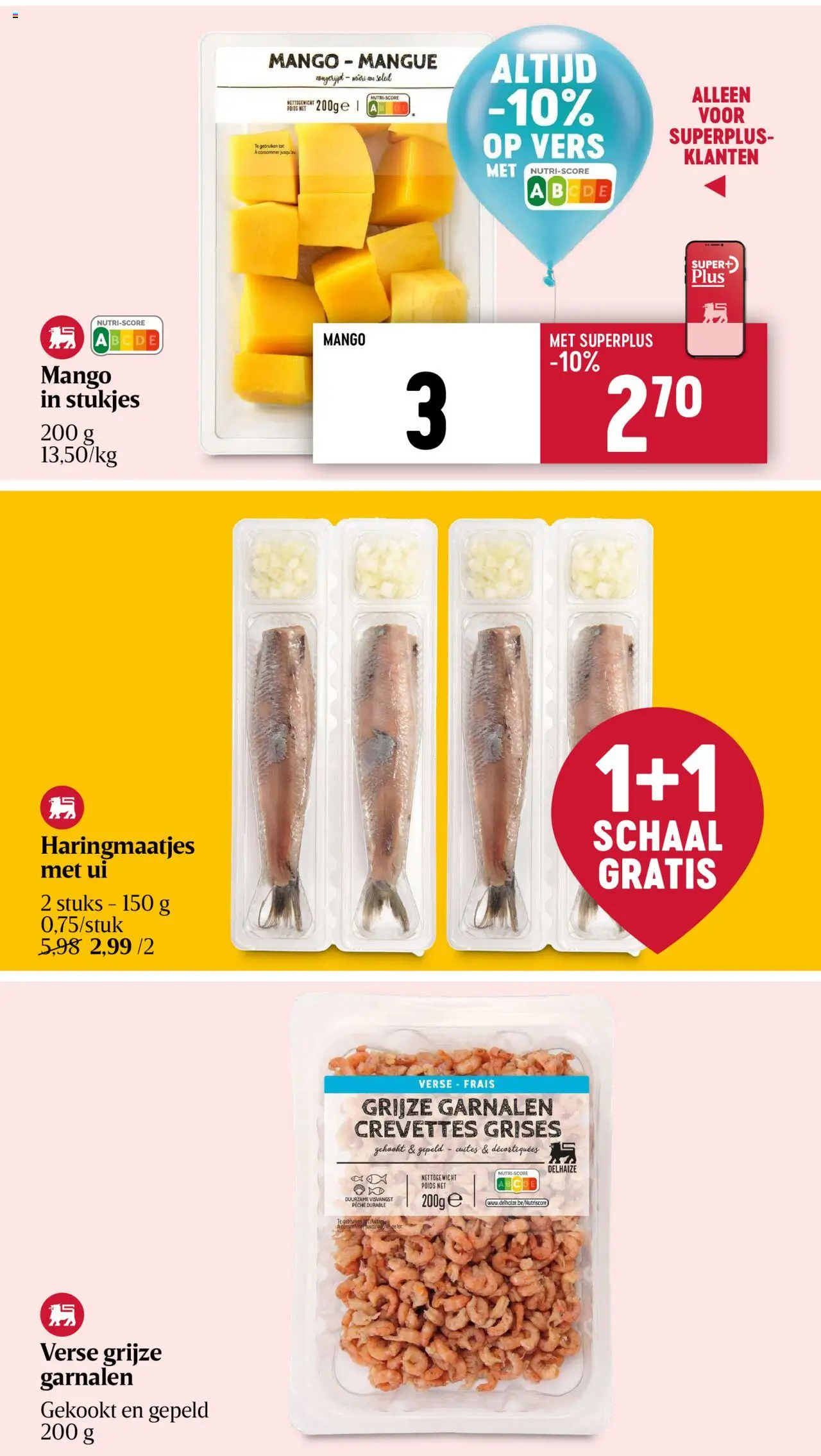  | Pagina: 25 | Producten: Mango, Ui, Kekszek, Schaal