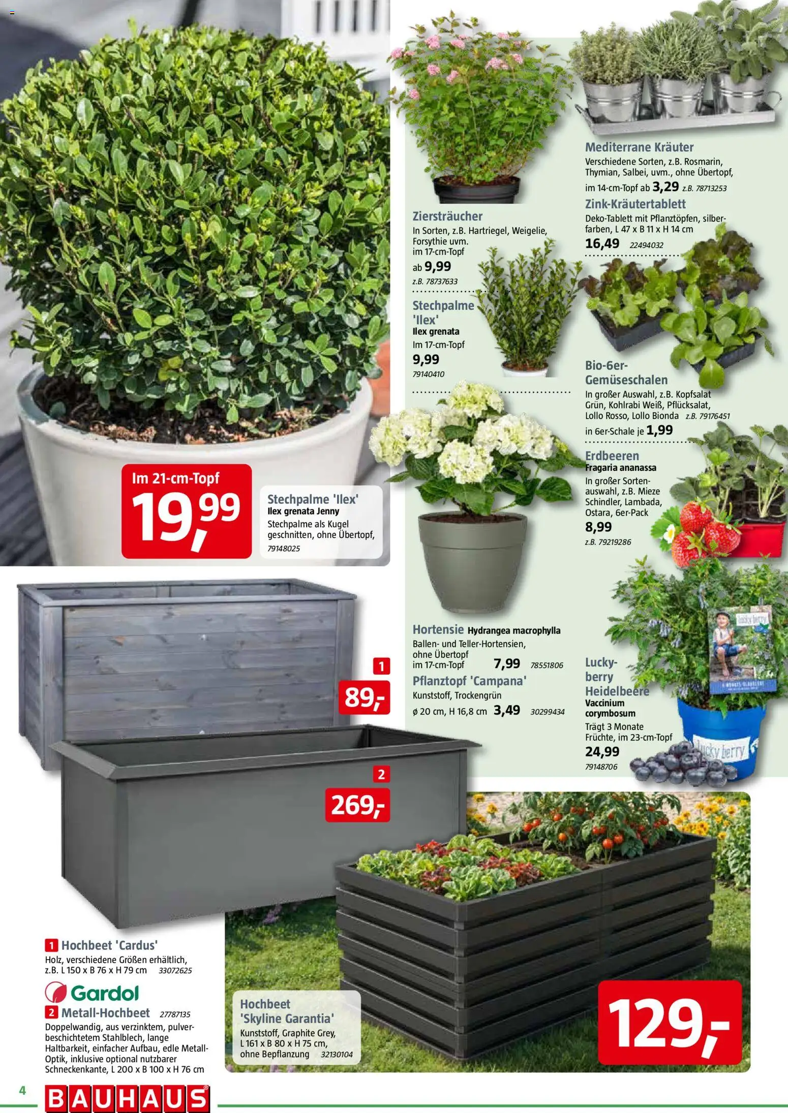 Bauhaus Prospekt 	 – gültig ab 28.02.2026 | Seite: 4 | Produkte: Hochbeet, Hortensie, Kohlrabi, Erdbeeren