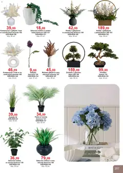 Pogląd oferty "Bodzio Katalog" - ważna od 01.04.2026 | Strona: 207 | Produkty: Kwiaty