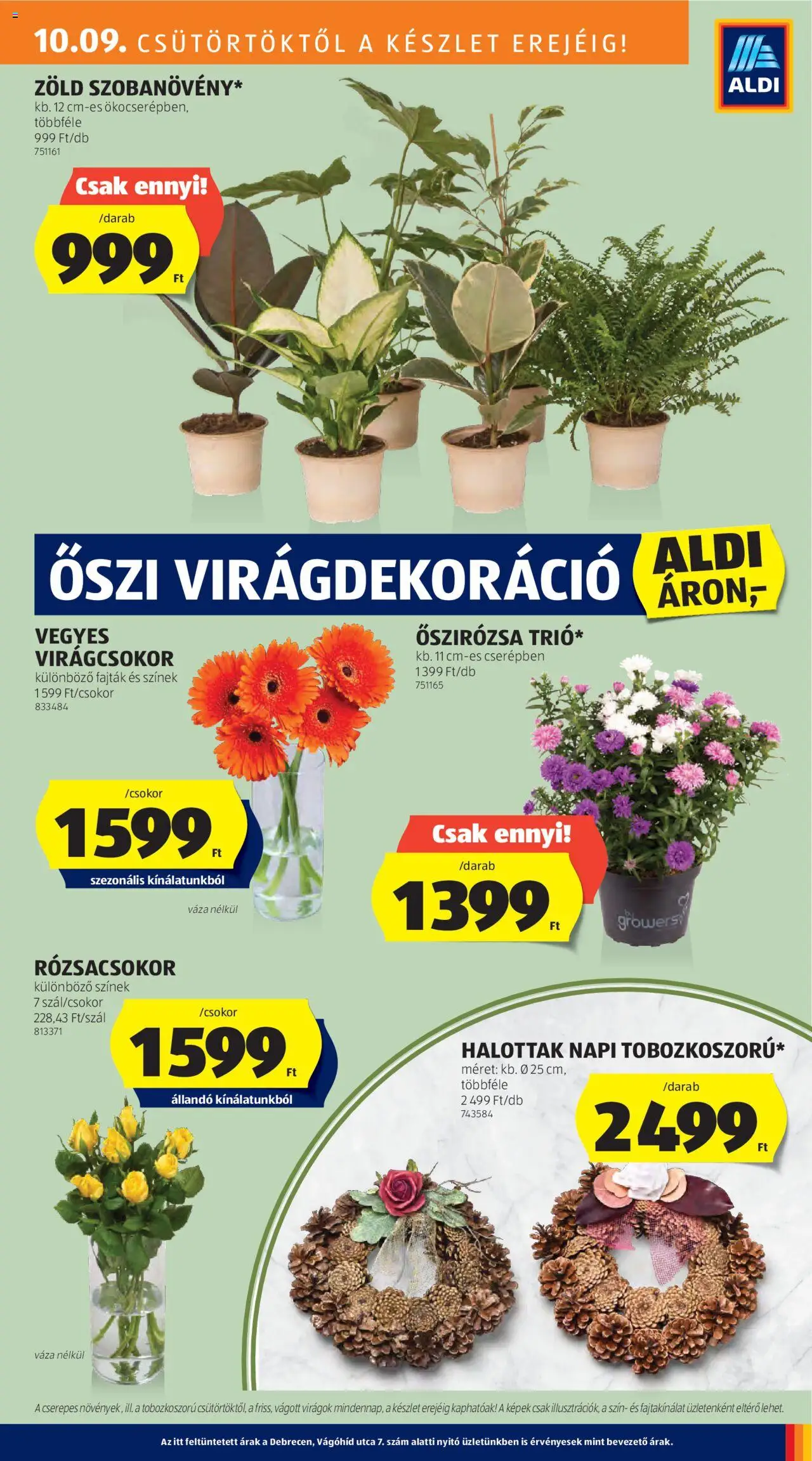 Aldi akciós ujság - amely érvényes a következő dátumtól: 09.10.2025 | Oldal: 23 | Termékek: Virágok, Váza