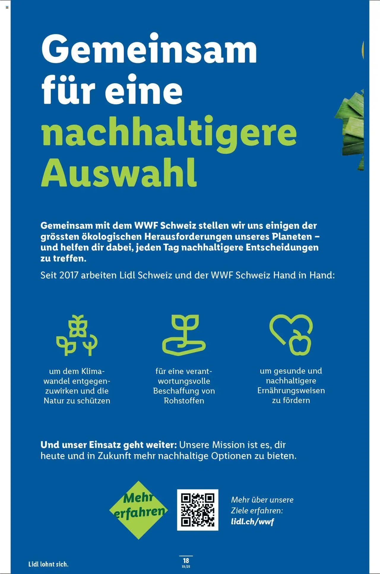 Lidl Aktionen ab 14.08.2025 | Seite: 20