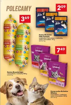 Pogląd oferty "Lewiatan gazetka" - ważna od 29.01.2026 | Strona: 14 | Produkty: Karma dla kotów, Wołowina, Karma dla psów