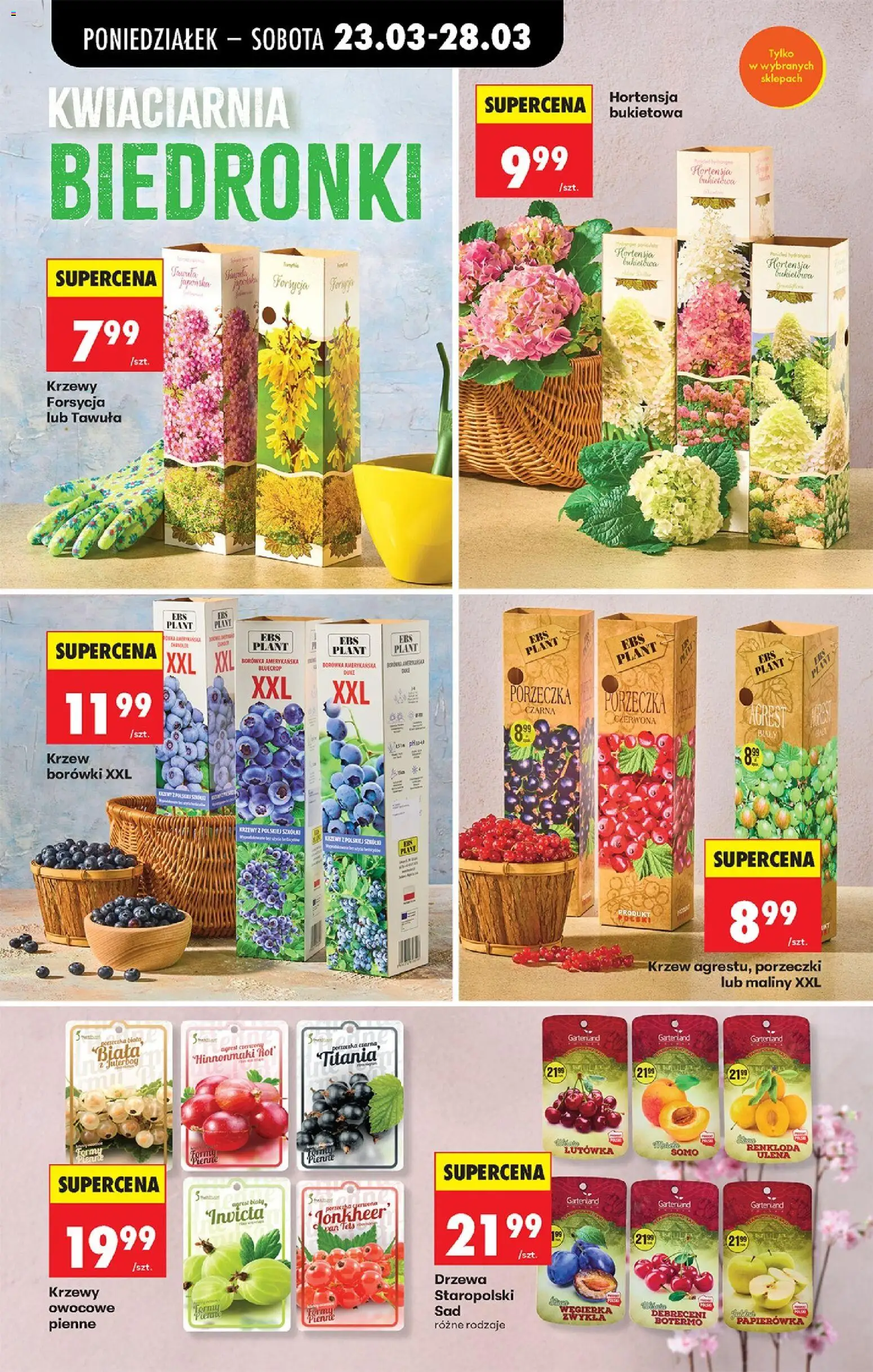 Biedronka Polsko leták od 23.03.2026 | Strana: 14 | Produkty: Maliny