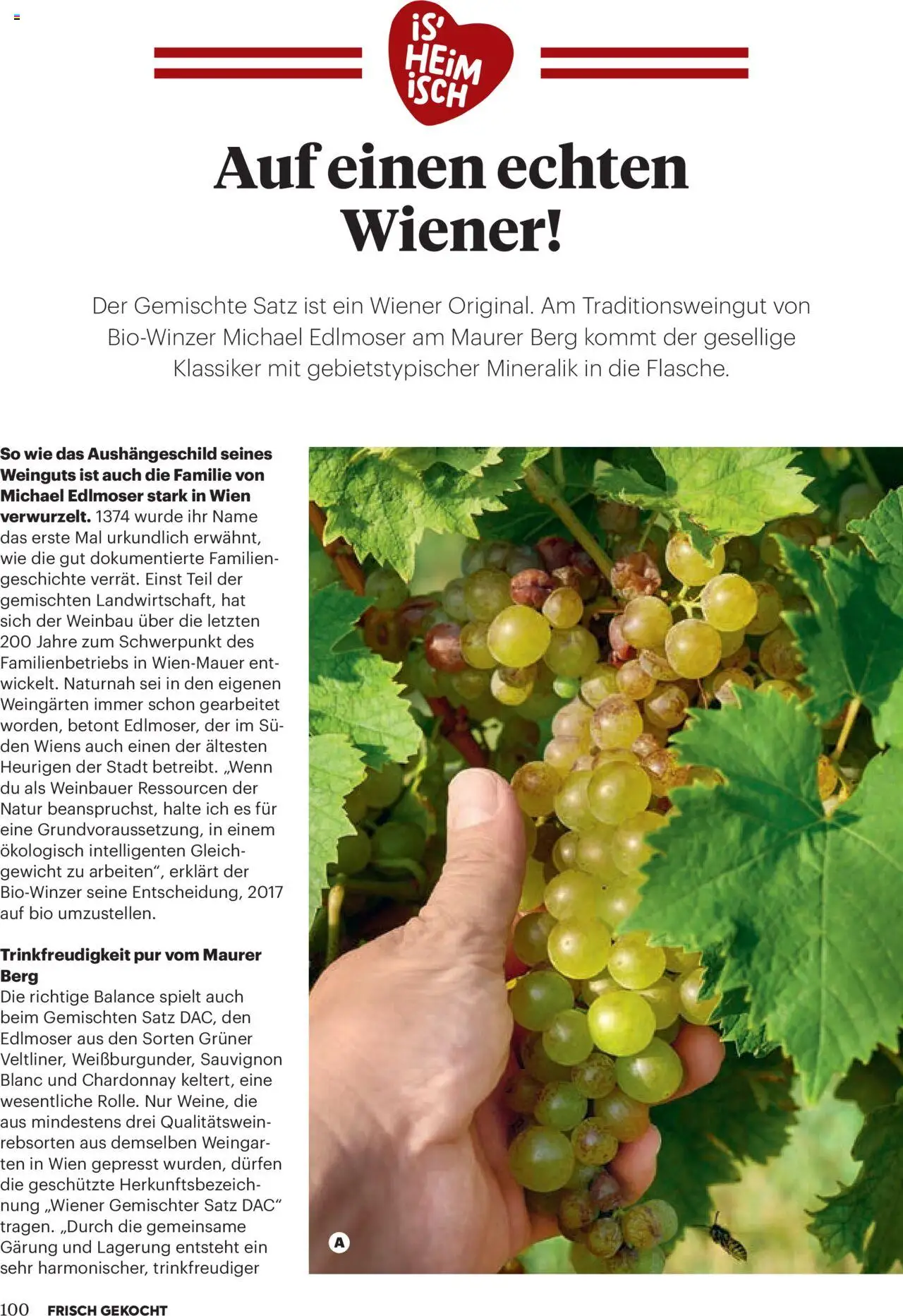 Billa Frisch Gekocht gültig ab 01.09.2025 | Seite: 98 | Produkte: Gewicht