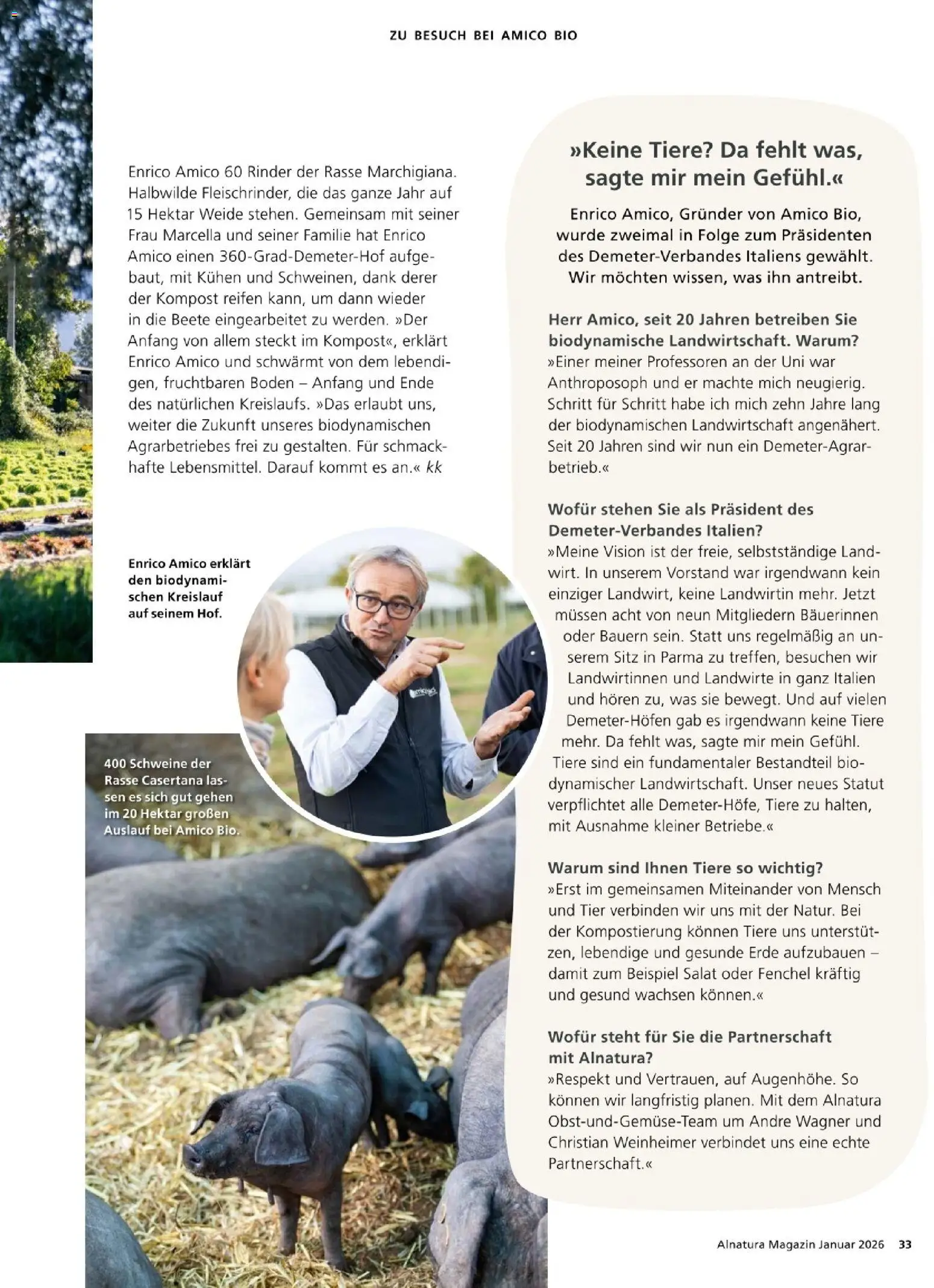 Alnatura Prospekt – gültig ab 01.01.2026 | Seite: 33 | Produkte: Salat