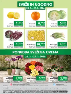 Tuš katalog akcije – veljaven od 20.03.2026 | Stran: 3 | Izdelki: Šopek, Kos, Pomarance, Zelje