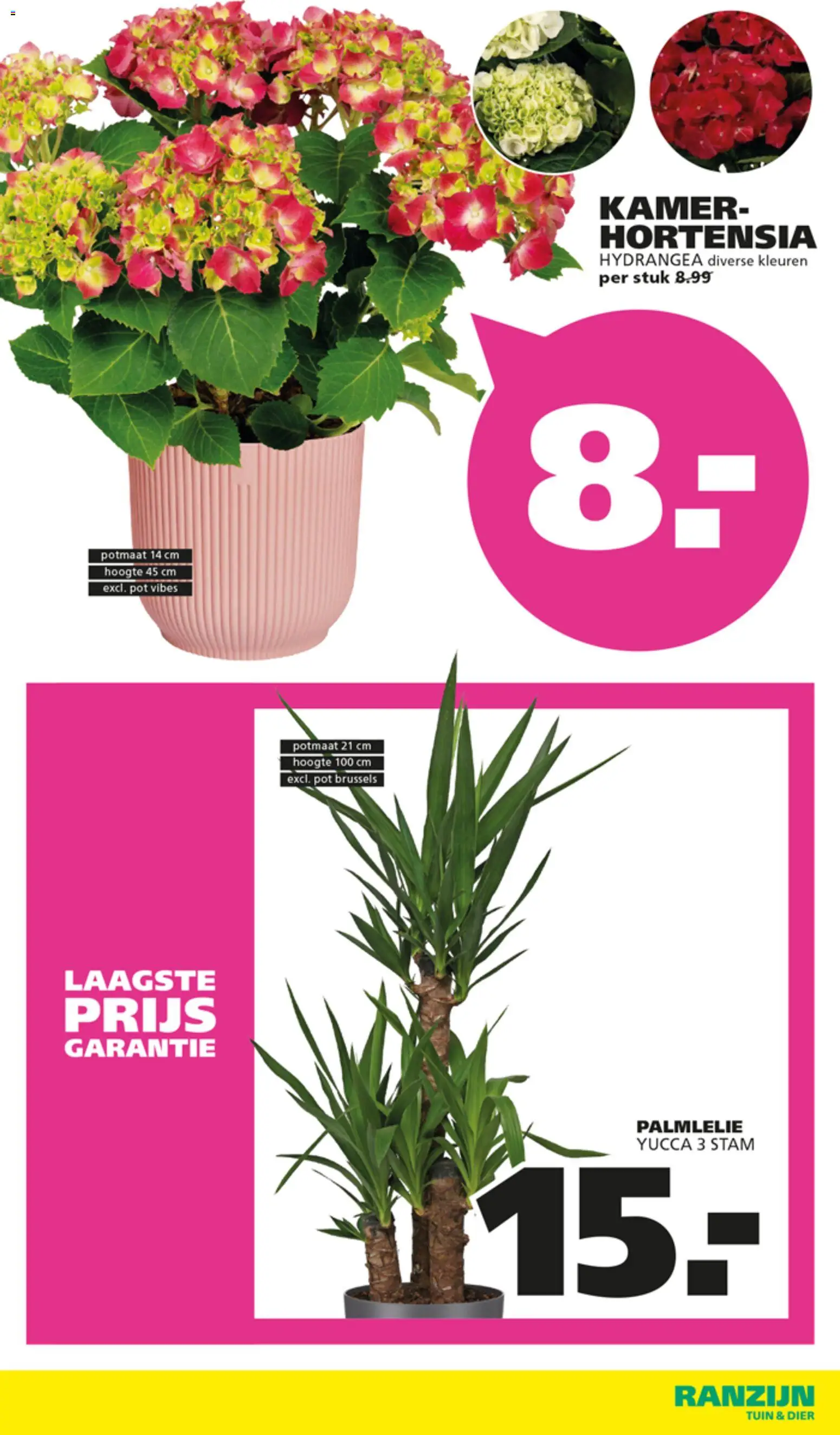 {H1} | Pagina: 10 | Producten: Pot